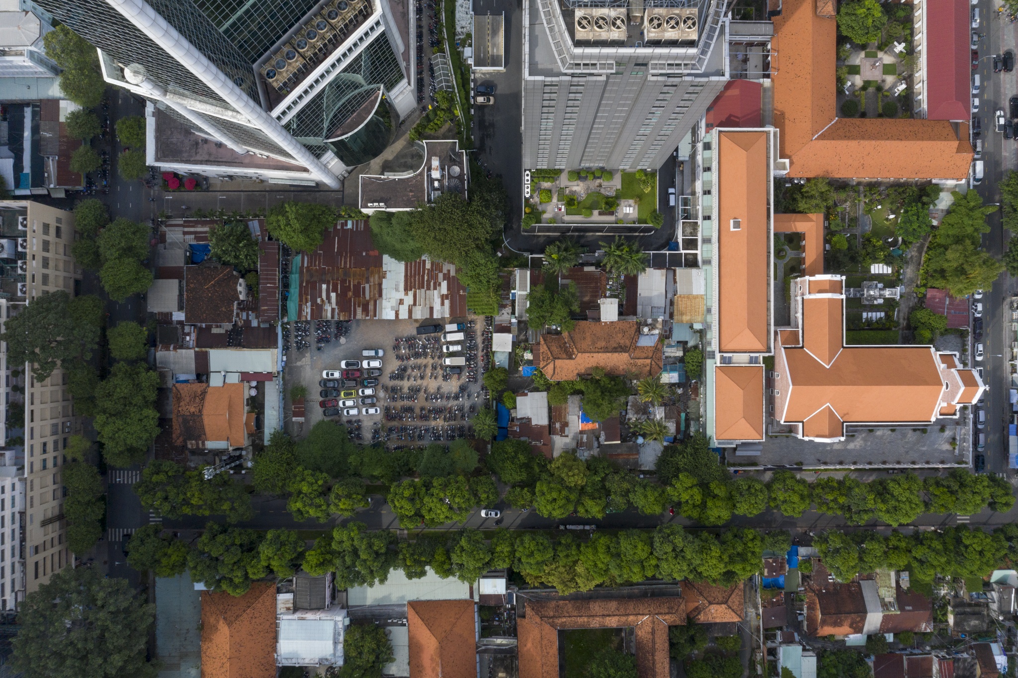 dat vang bi thu hoi anh 1