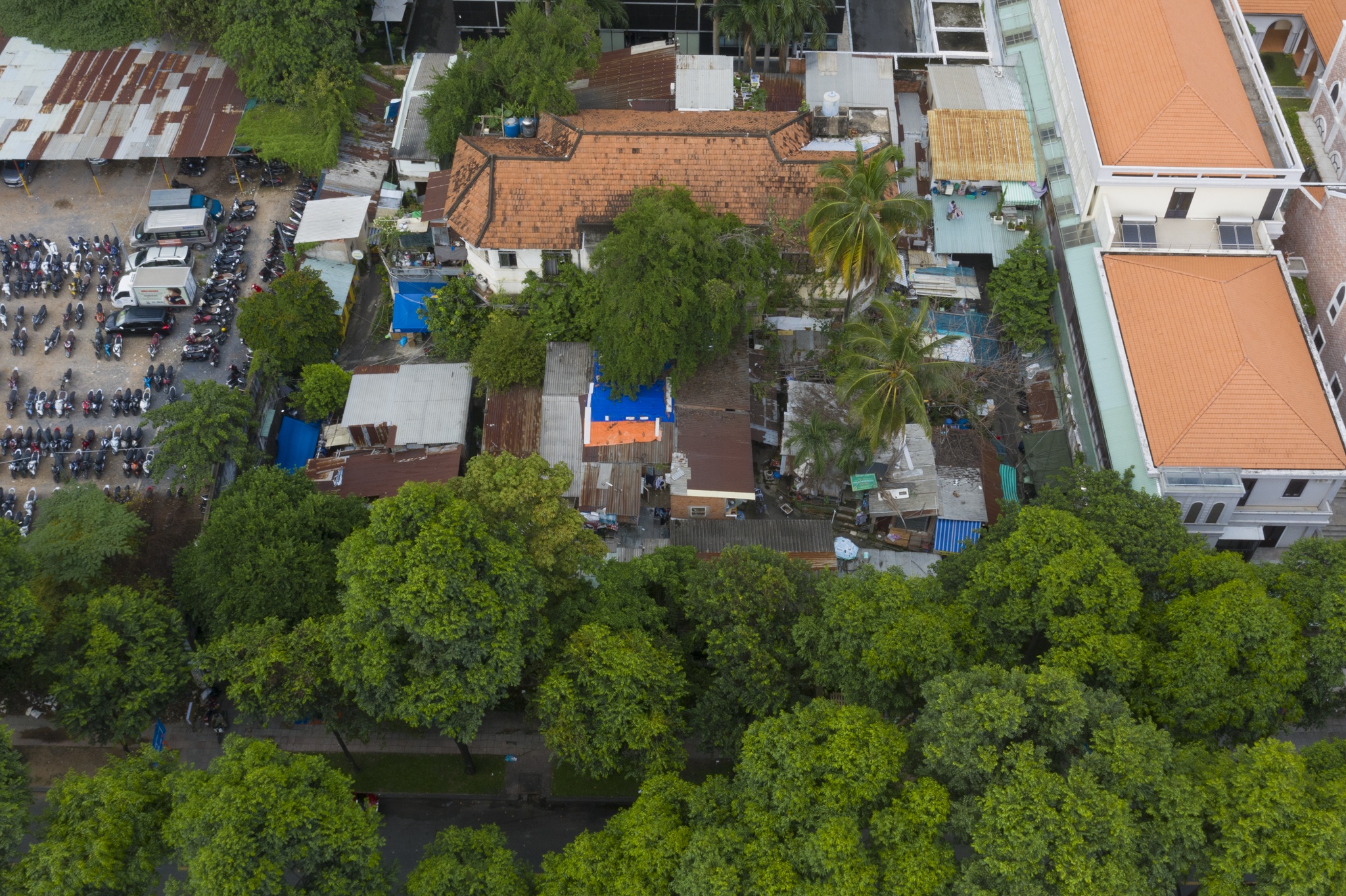 dat vang bi thu hoi anh 2