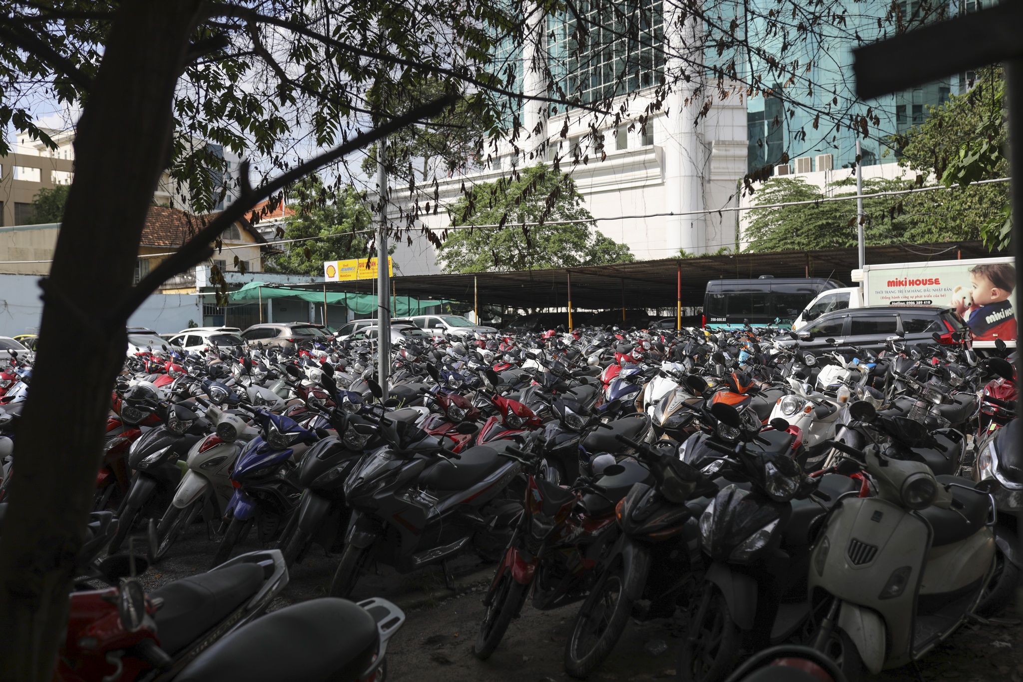 dat vang bi thu hoi anh 5