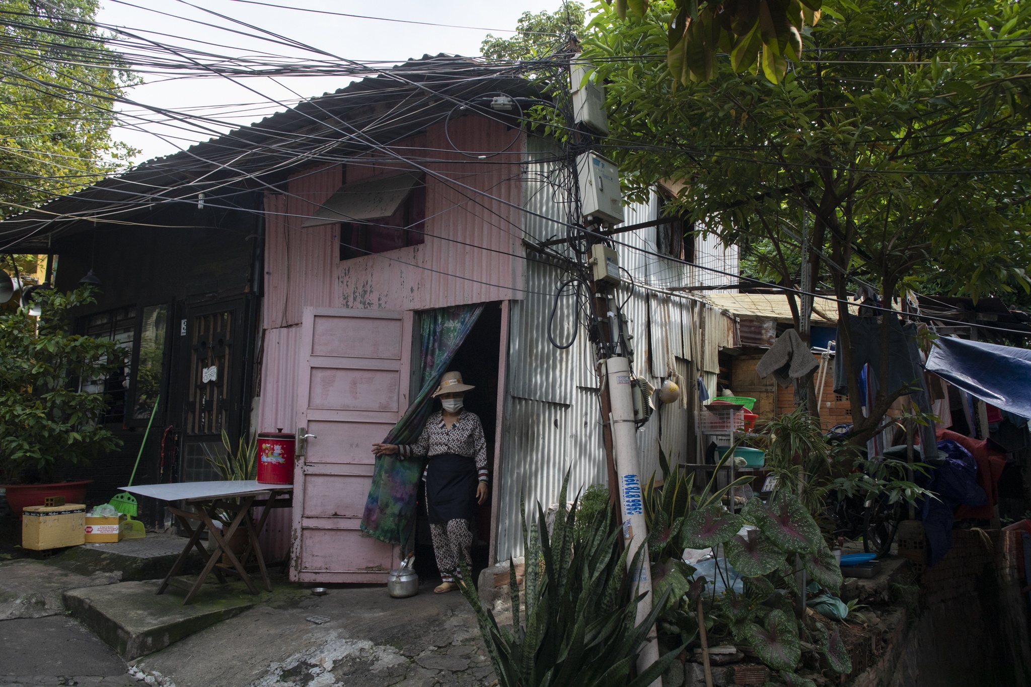 dat vang bi thu hoi anh 8