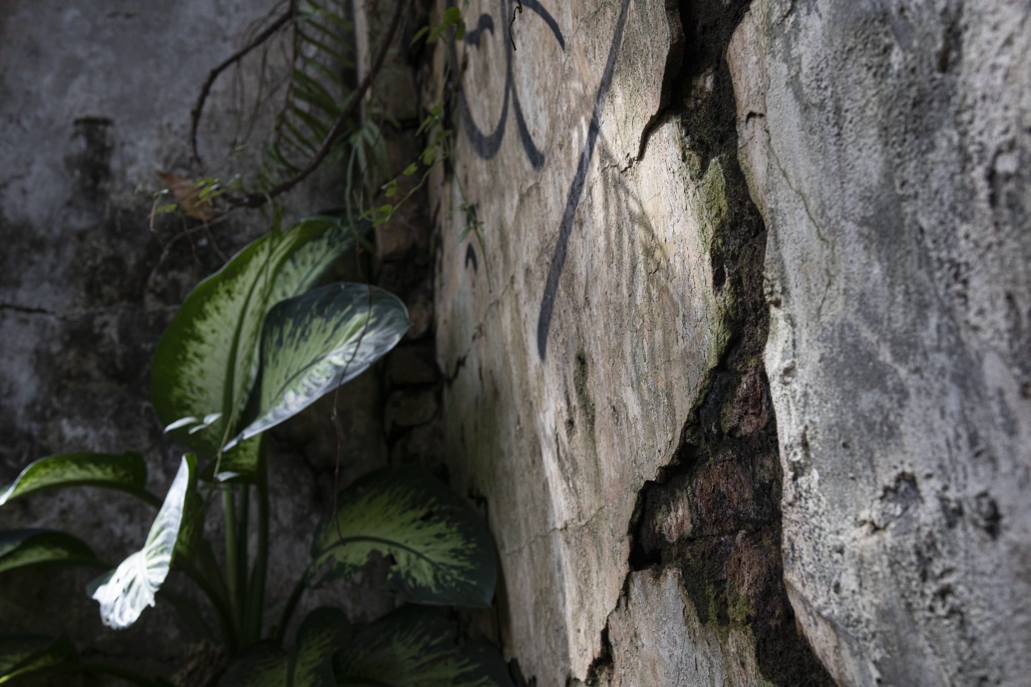 dat vang bi thu hoi anh 3