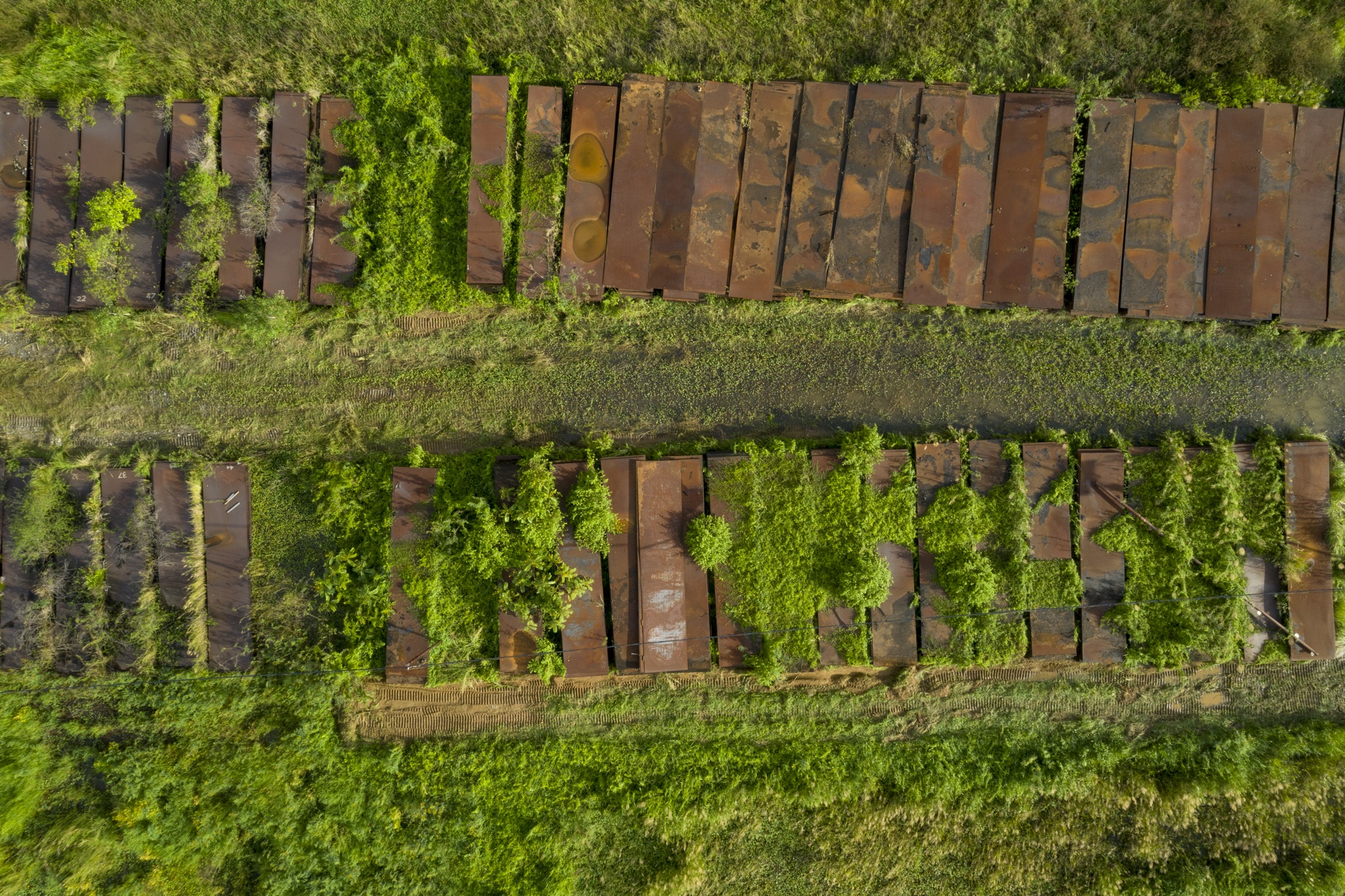 Tong kho xang dau TP.HCM anh 7