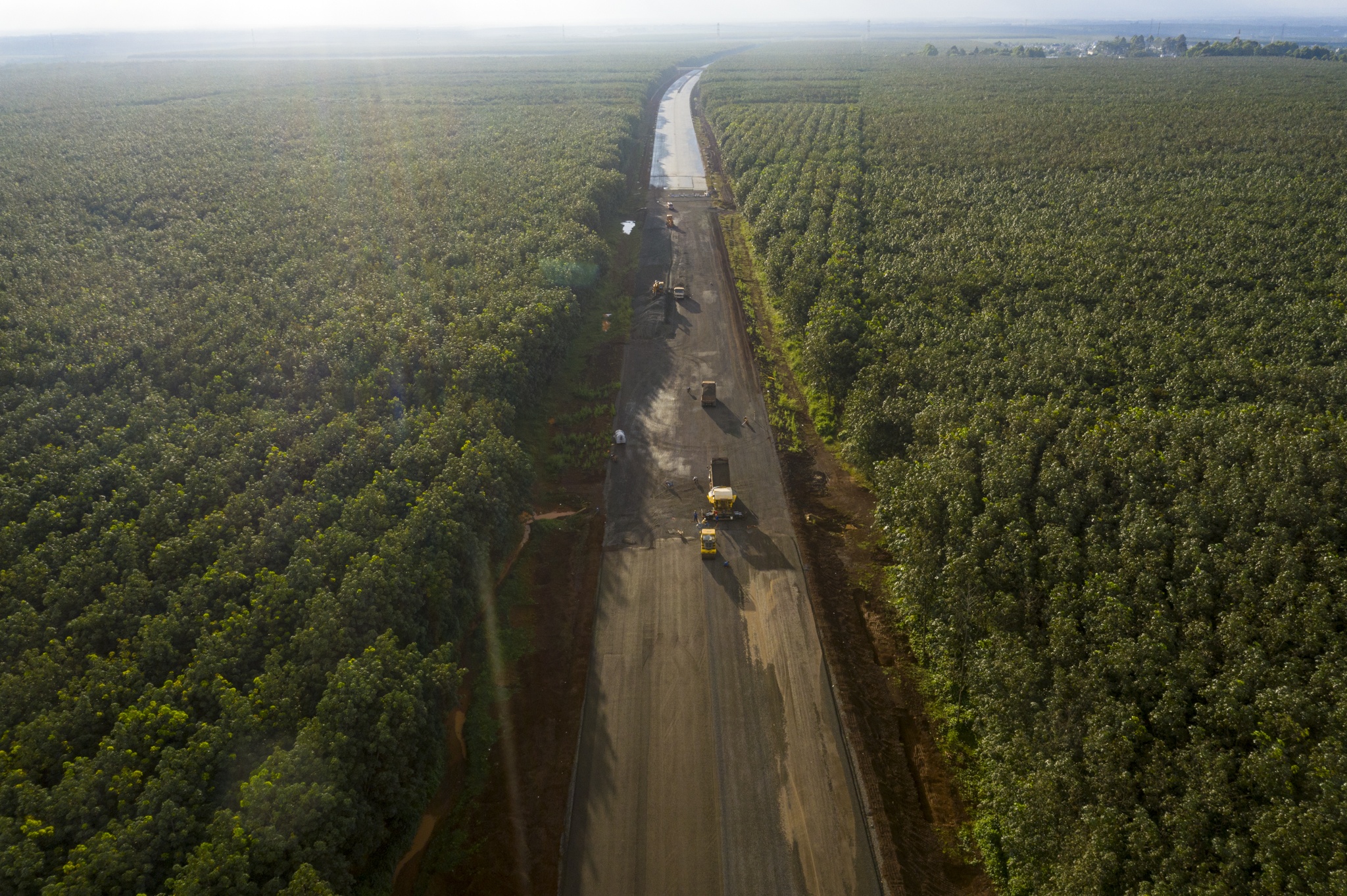 Dau Giay Phan Thiet anh 8