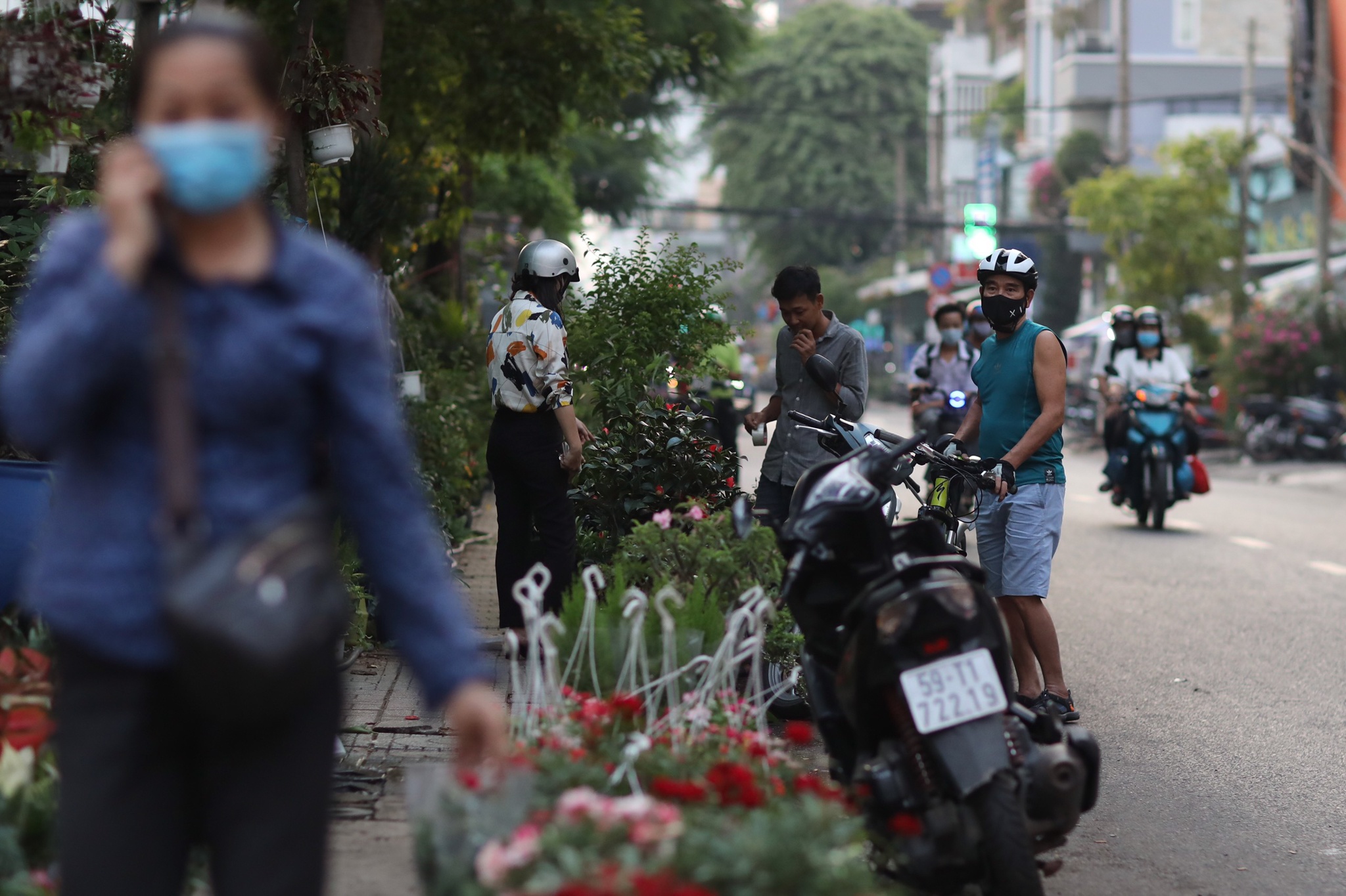 cuong che dat vang anh 8