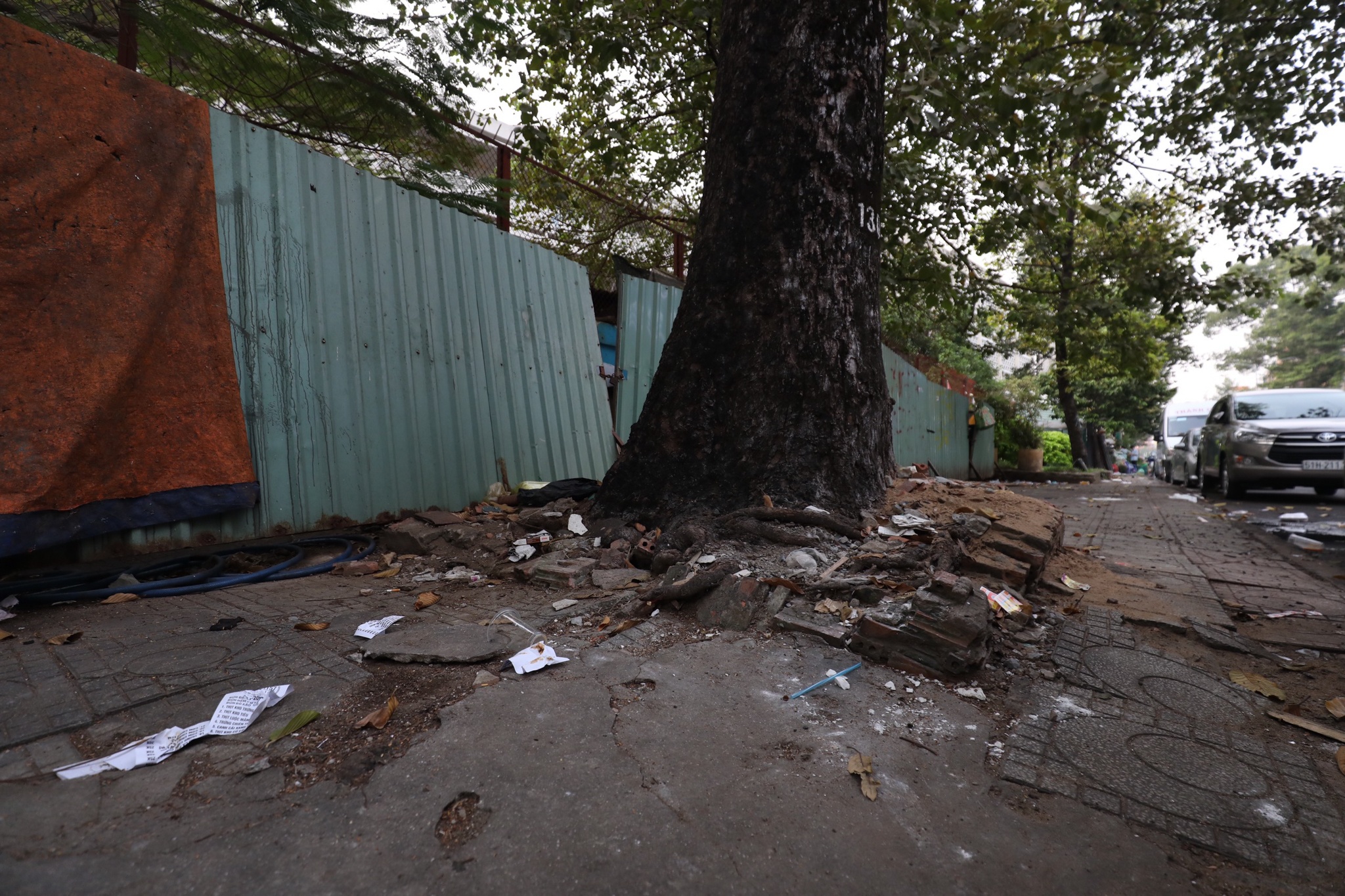 cuong che dat vang anh 7