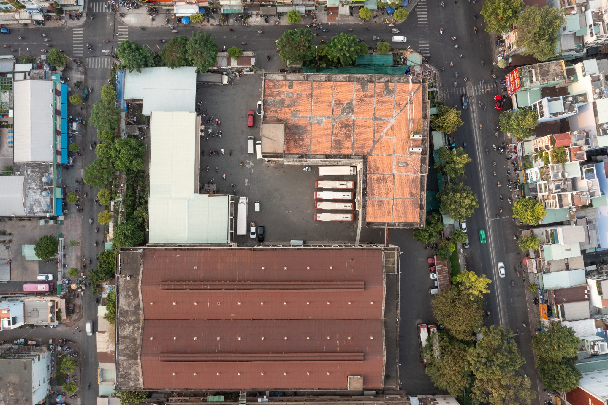 cuong che dat vang anh 3