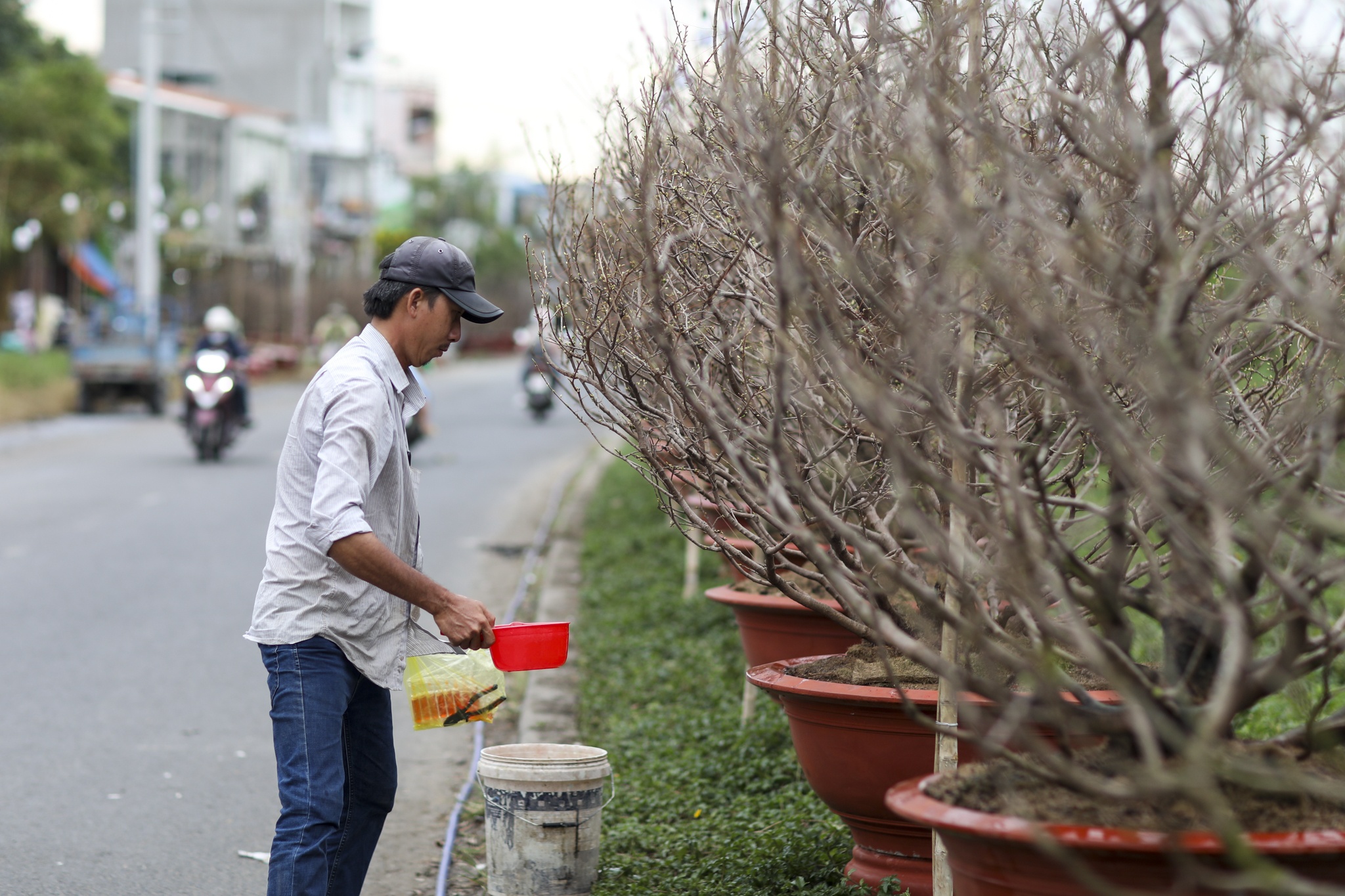cho hoa Tet diu hiu anh 6