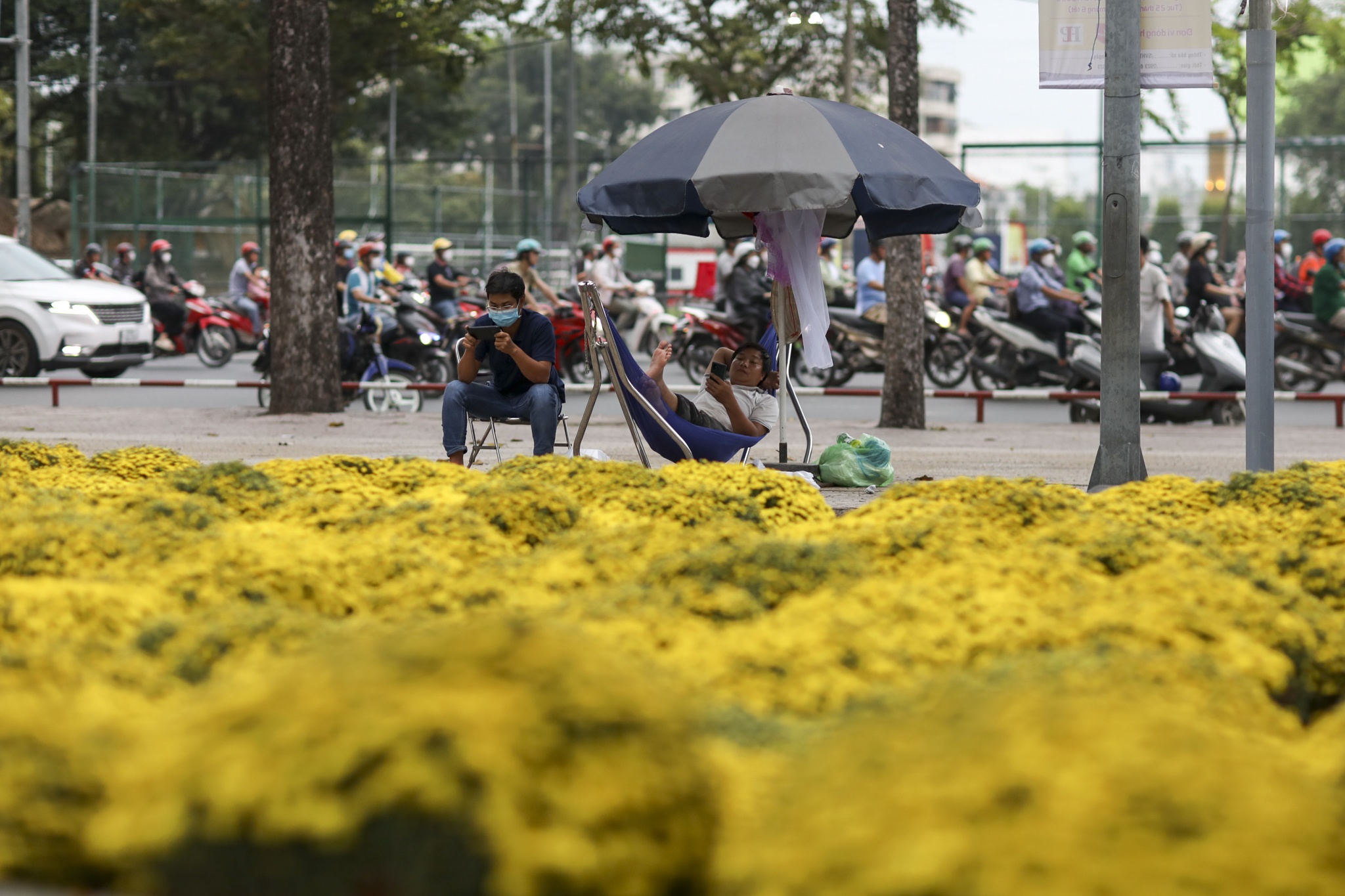 cho hoa Tet diu hiu anh 3