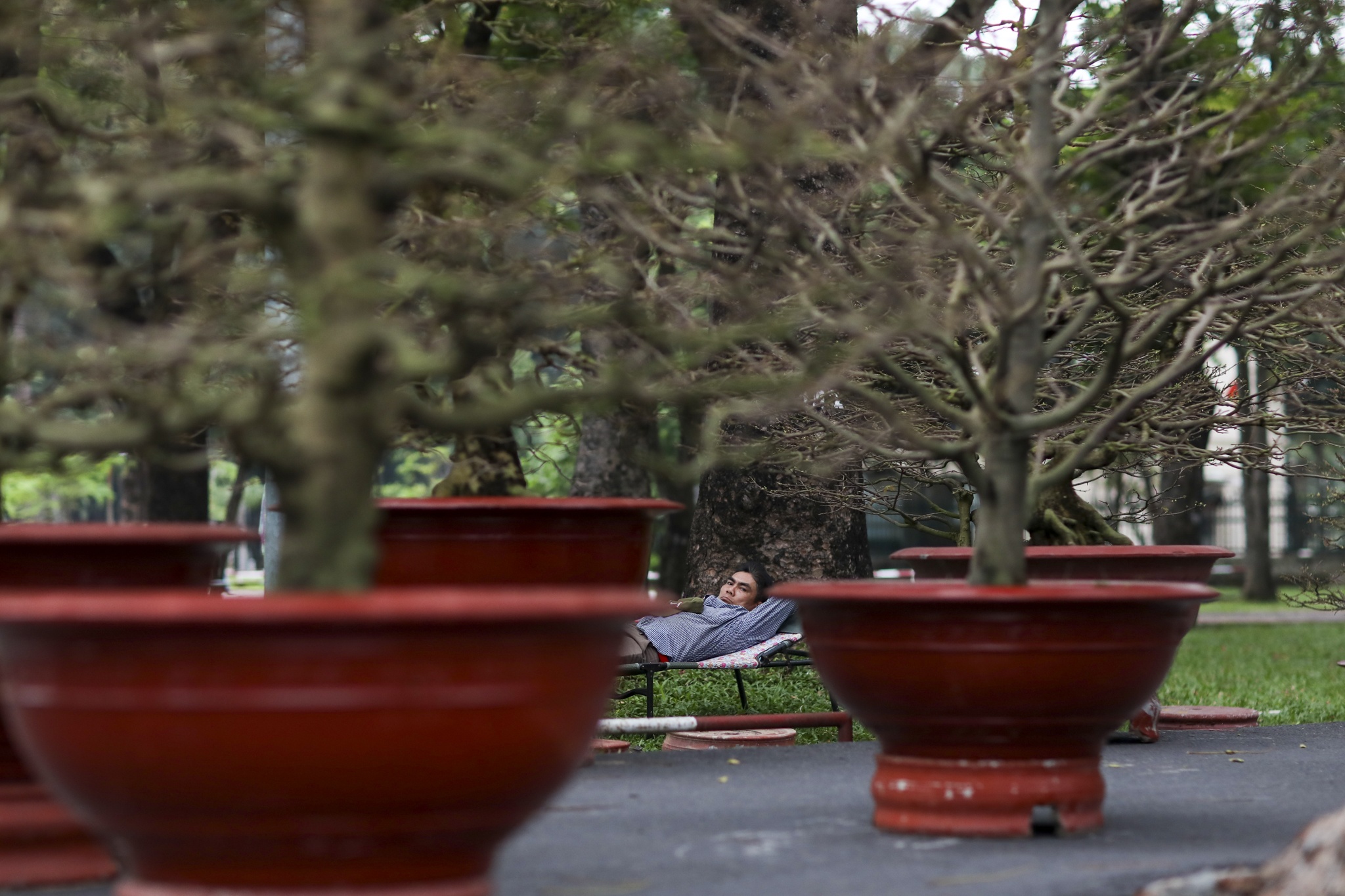 cho hoa Tet diu hiu anh 5