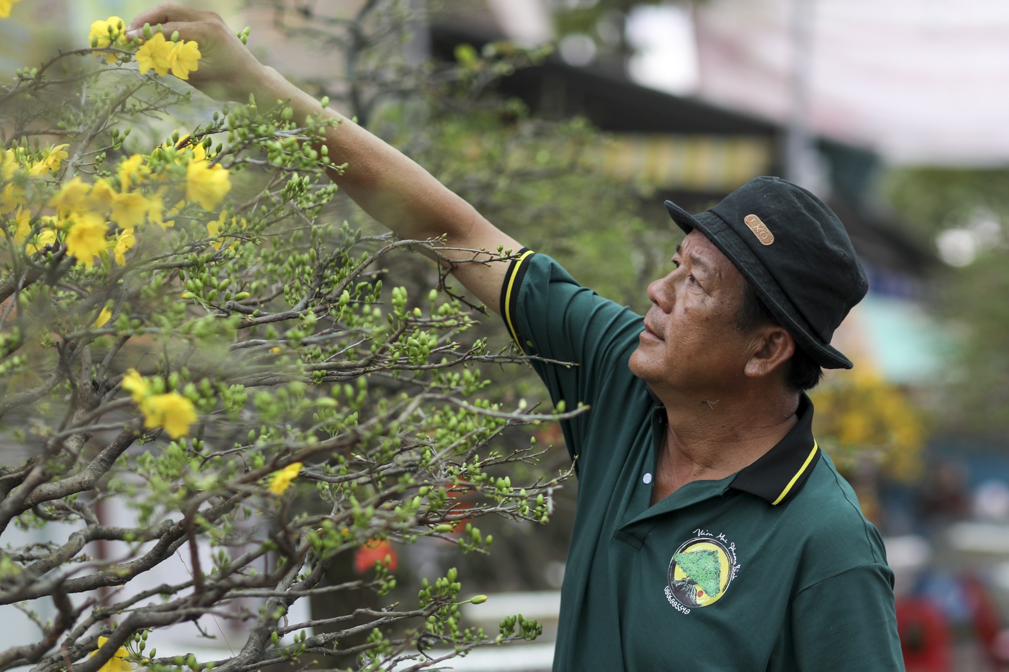 cho hoa Tet diu hiu anh 8