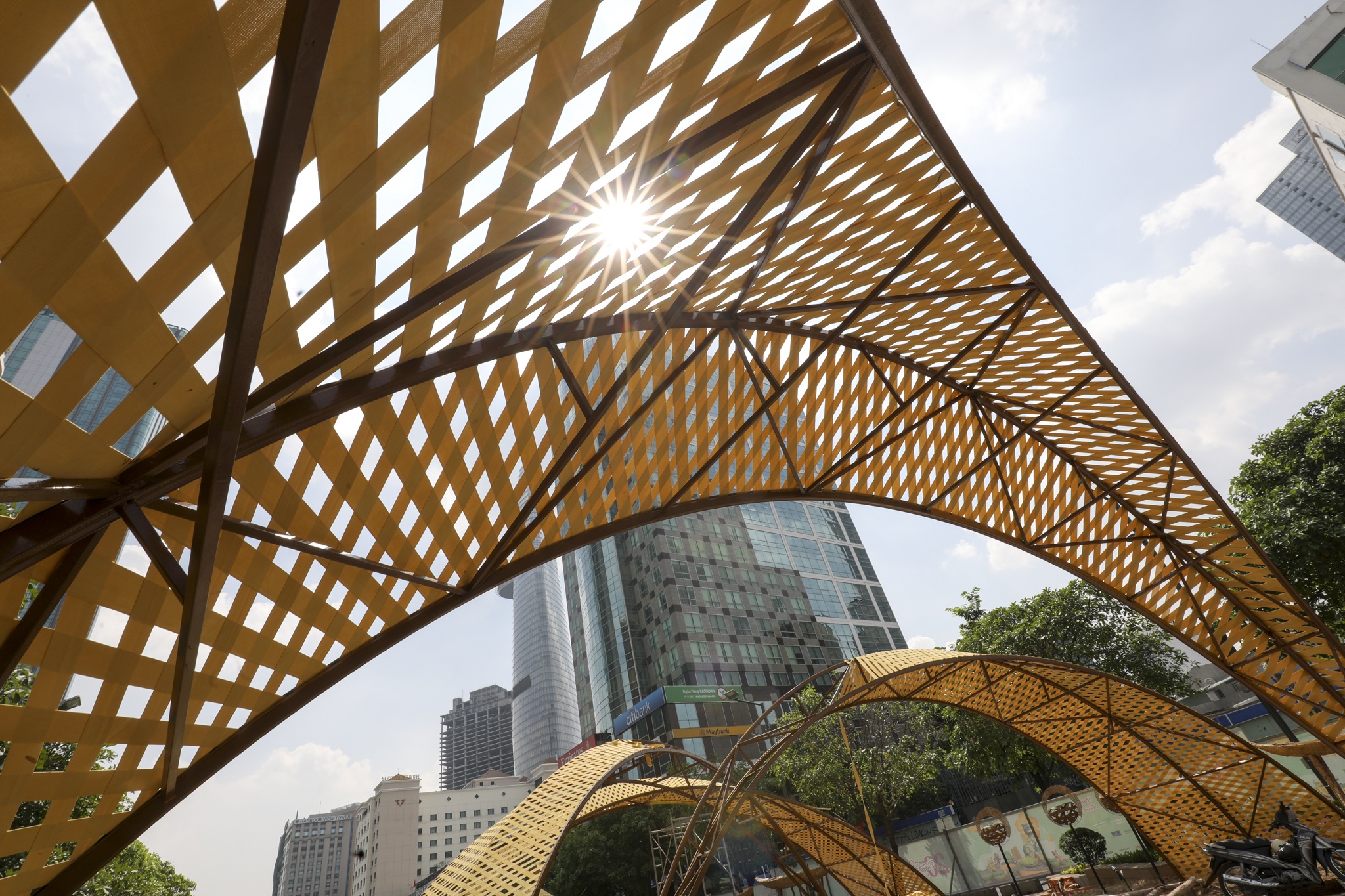 duong hoa nguyen hue anh 10