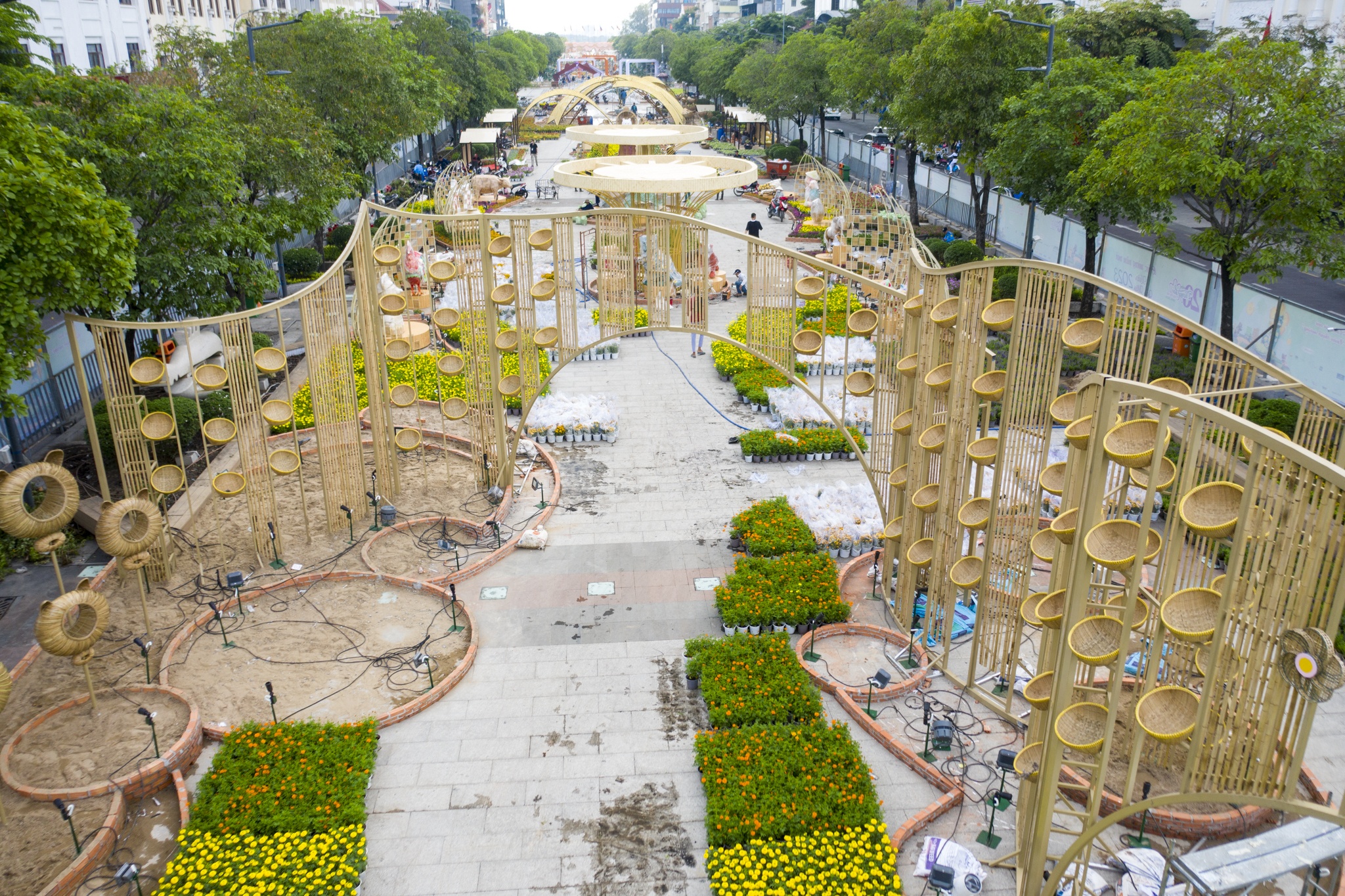 duong hoa nguyen hue anh 9