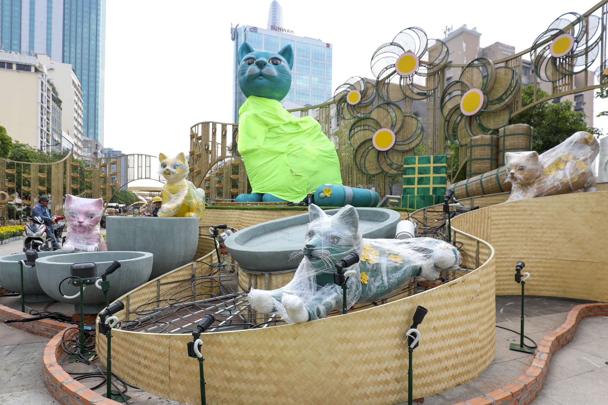 duong hoa nguyen hue anh 3