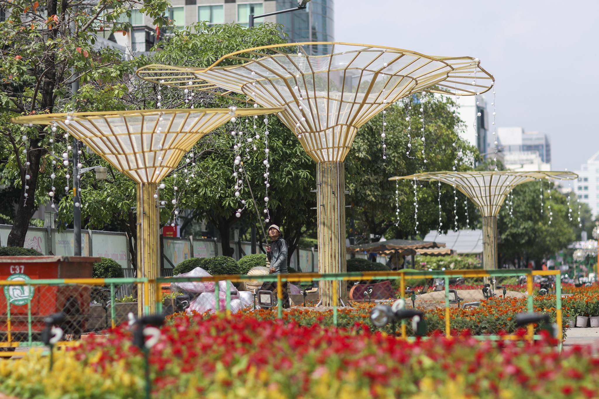 duong hoa nguyen hue anh 8