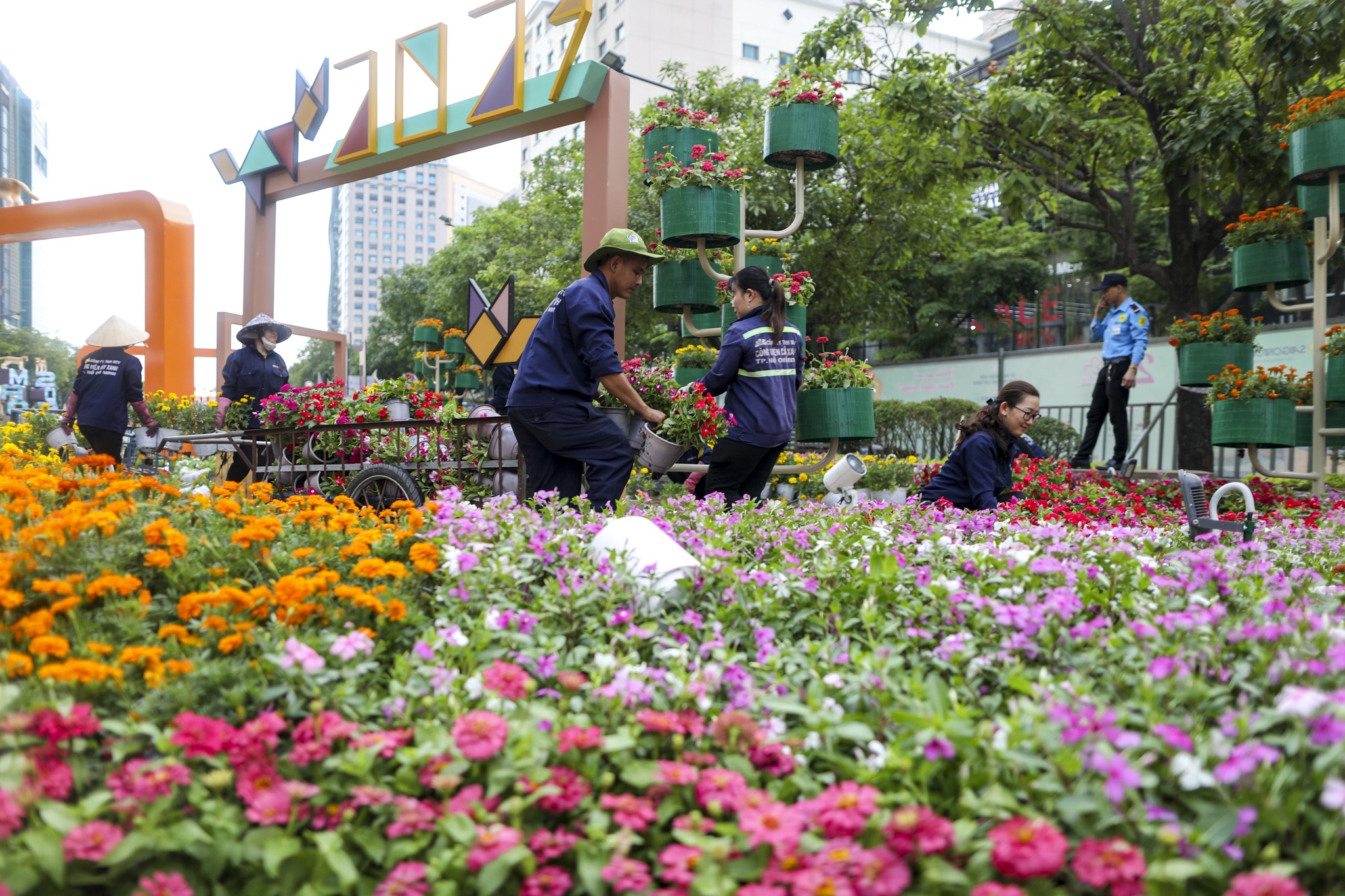 duong hoa nguyen hue anh 17