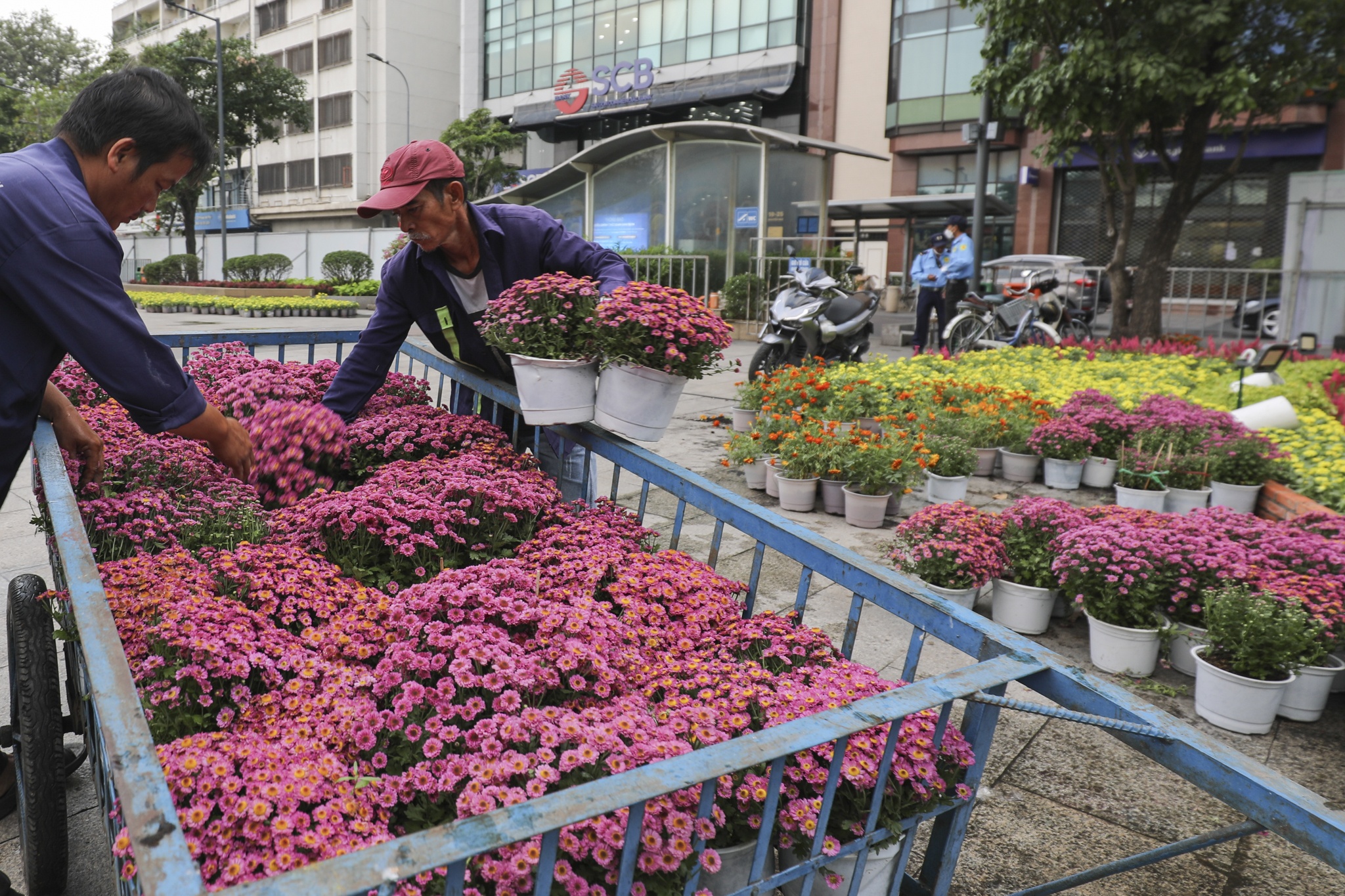 duong hoa nguyen hue anh 15