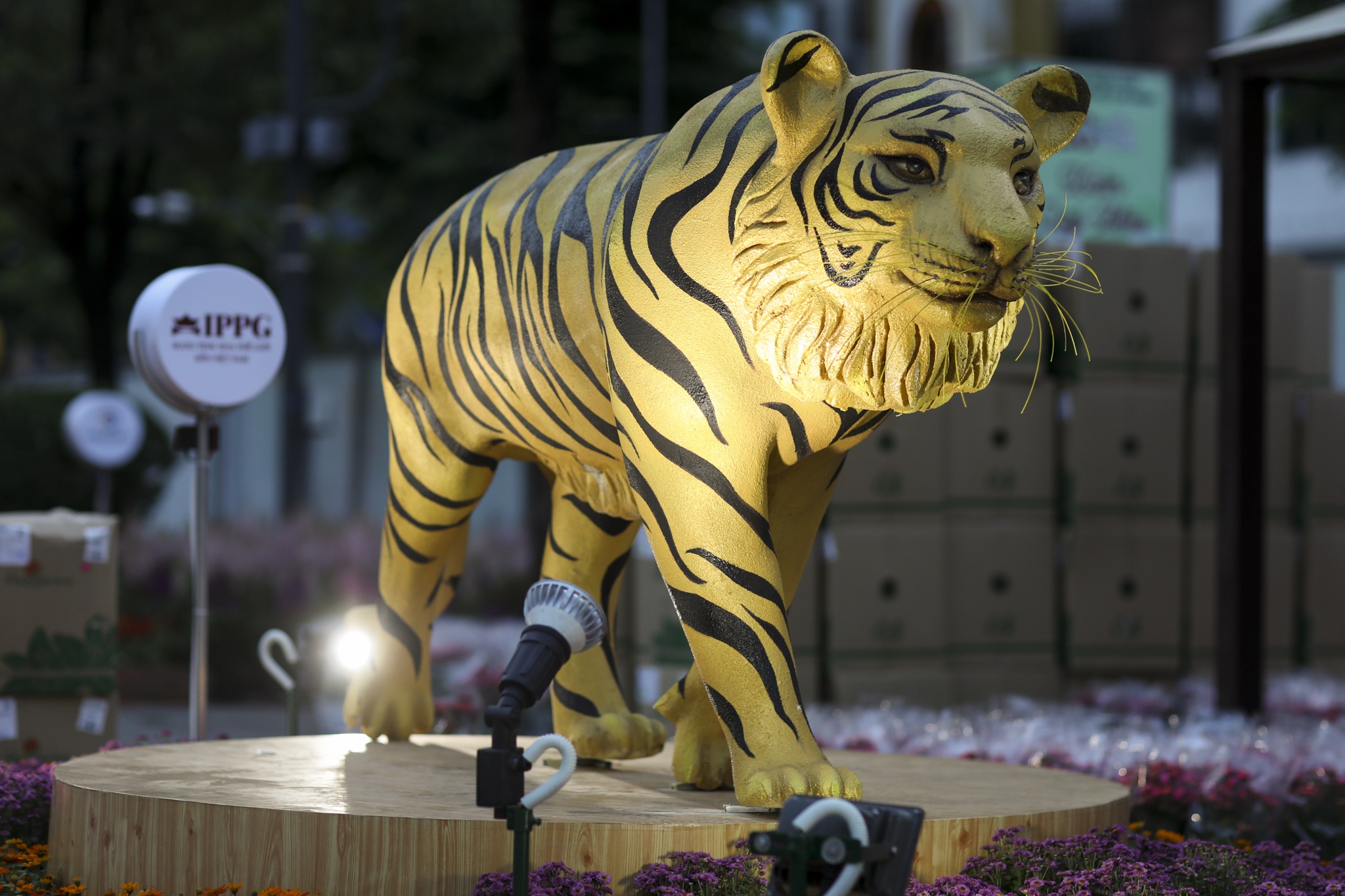 duong hoa nguyen hue anh 3