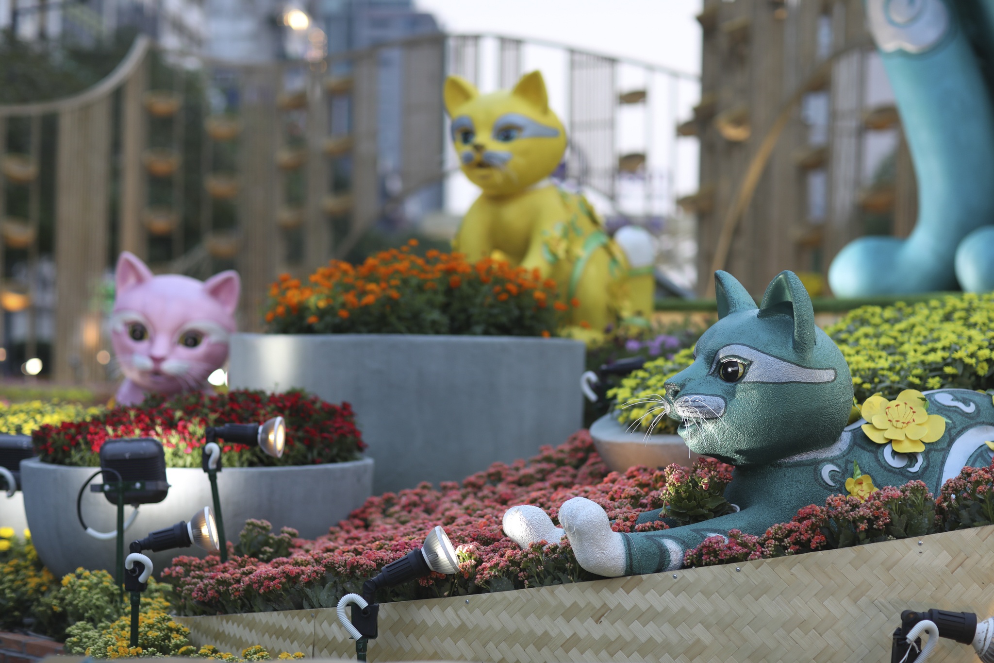 duong hoa nguyen hue anh 7