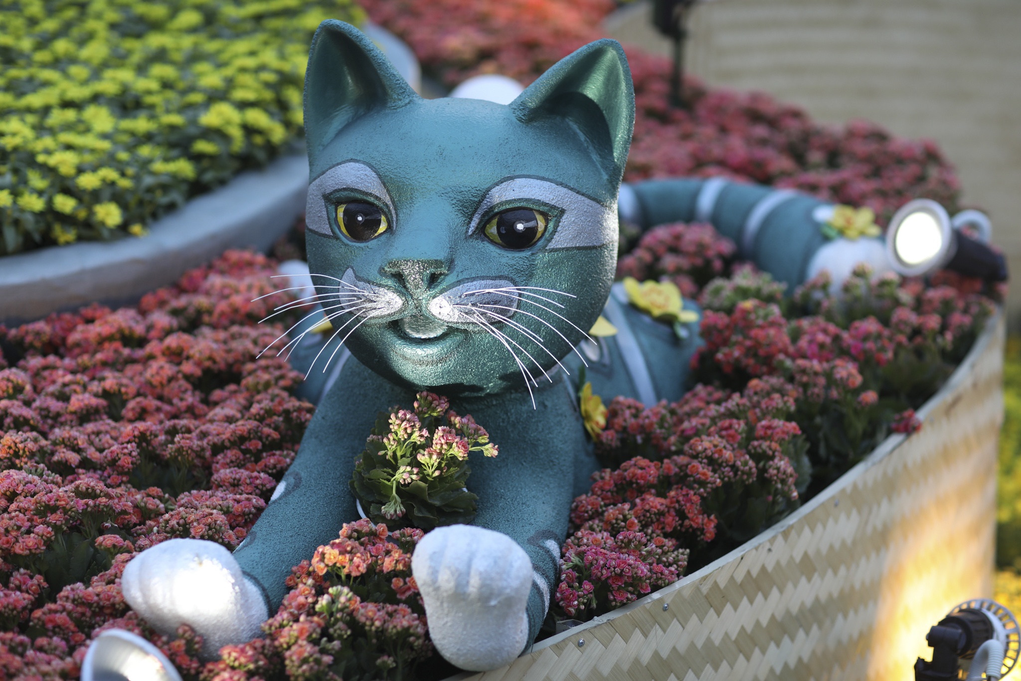 duong hoa nguyen hue anh 9