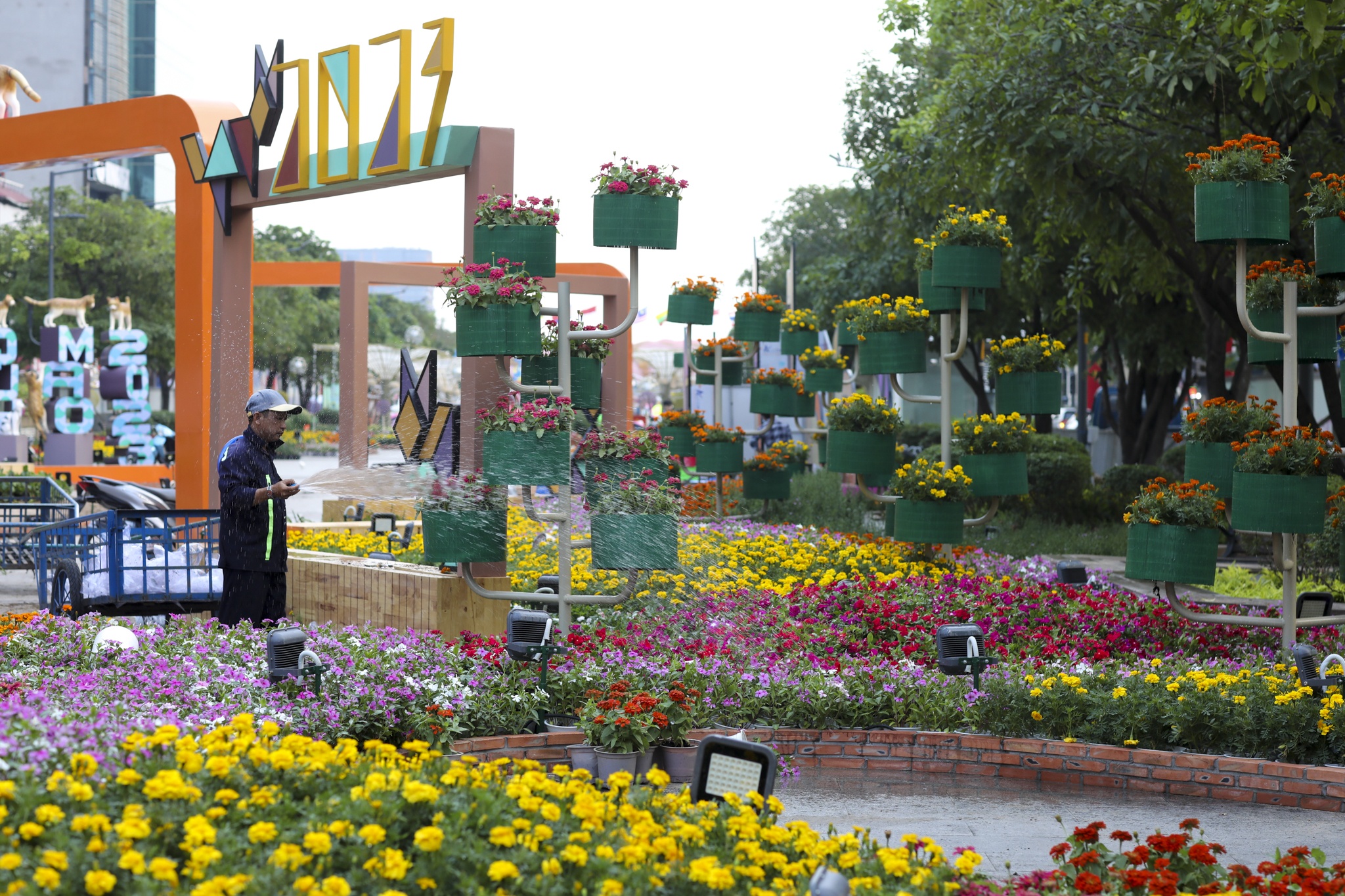 duong hoa nguyen hue anh 18