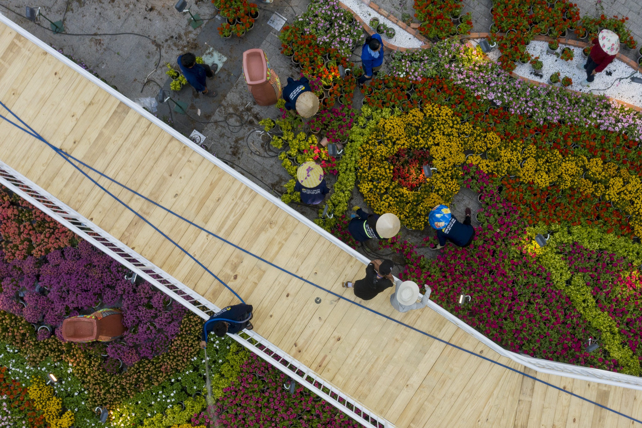 duong hoa nguyen hue anh 19