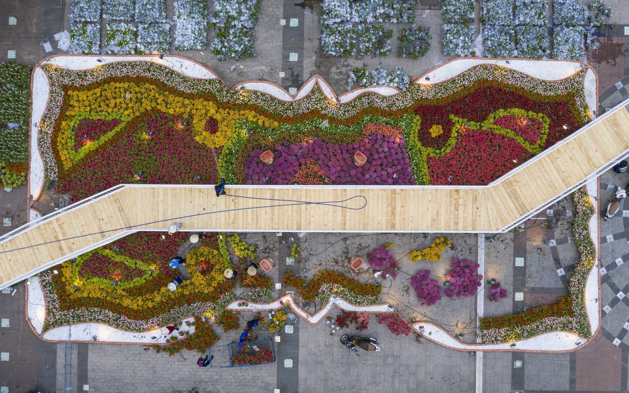 duong hoa nguyen hue anh 25