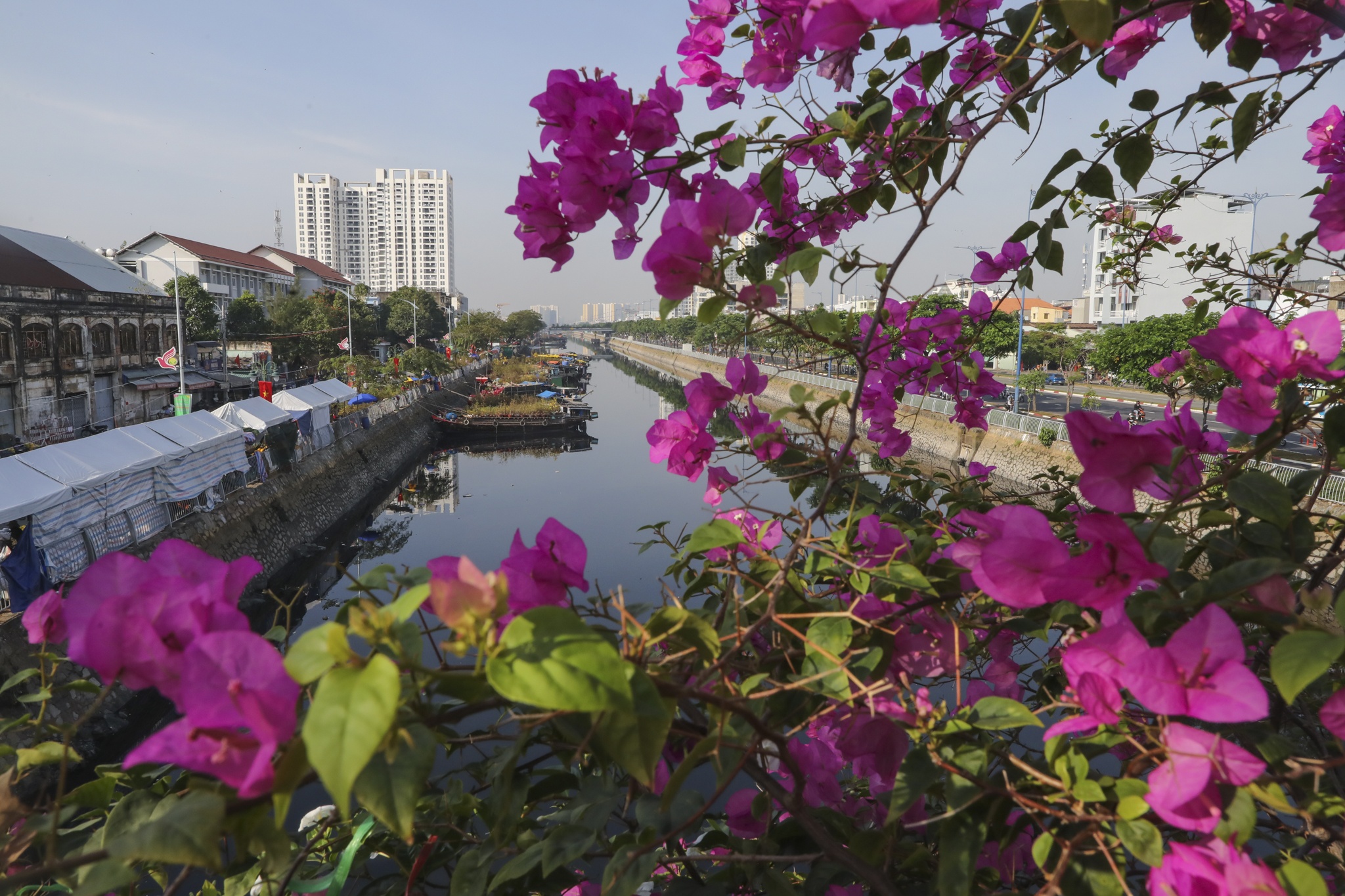 Cho hoa ben binh dong anh 13