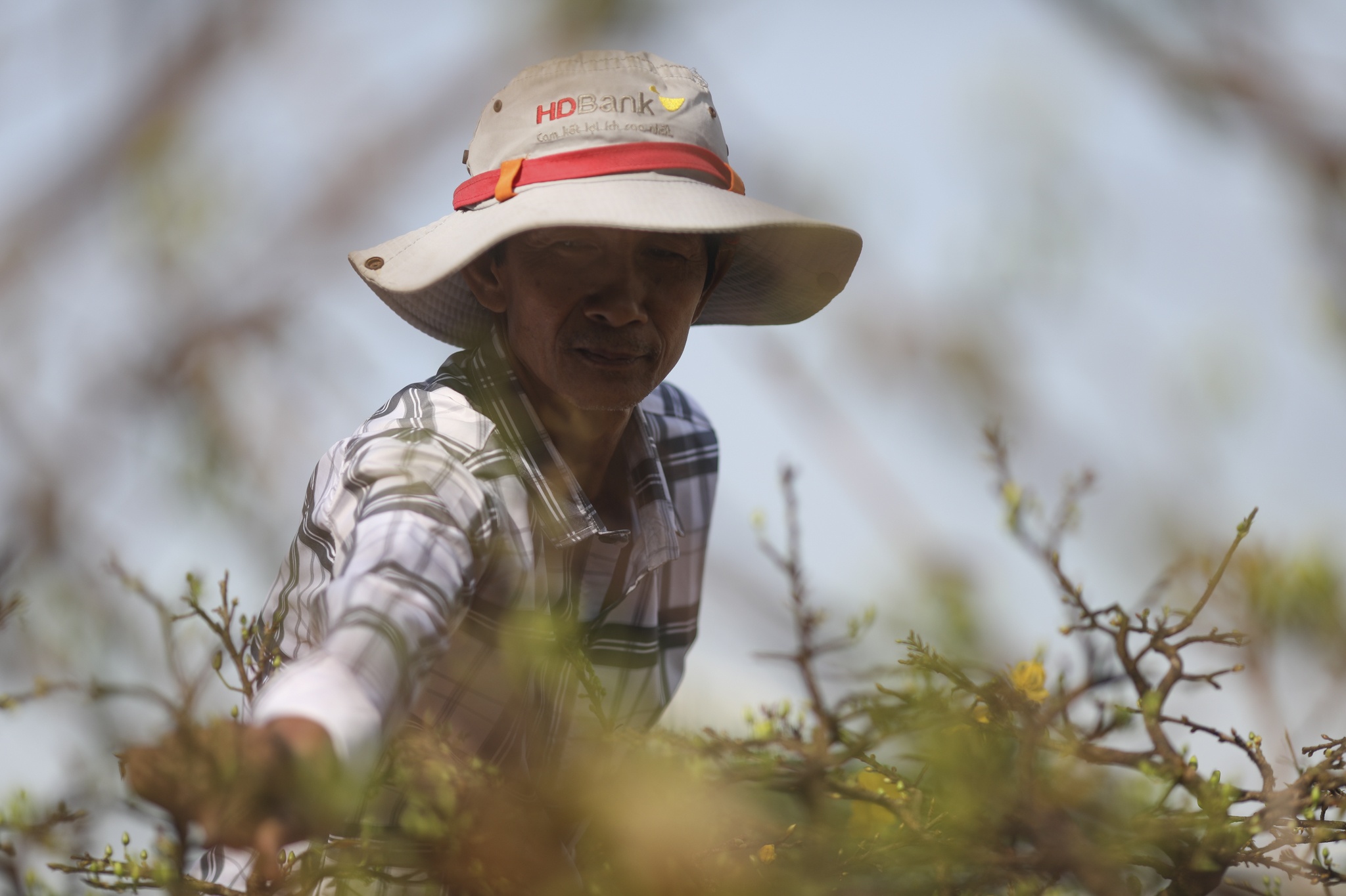 Cho hoa ben binh dong anh 6