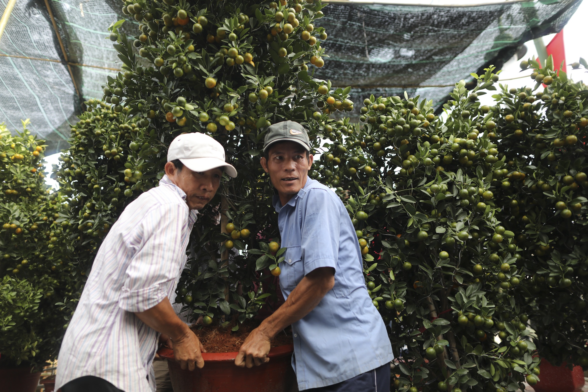 Cho hoa ben binh dong anh 11