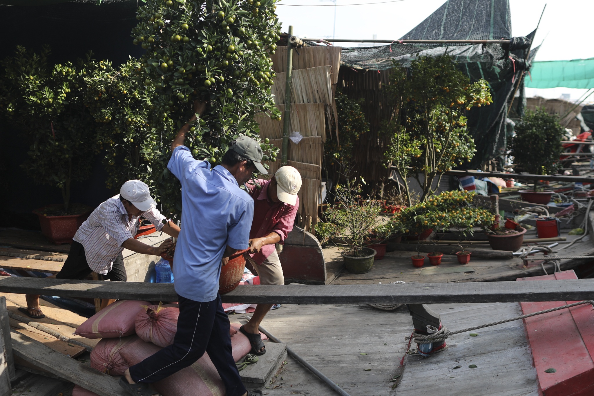 Cho hoa ben binh dong anh 10