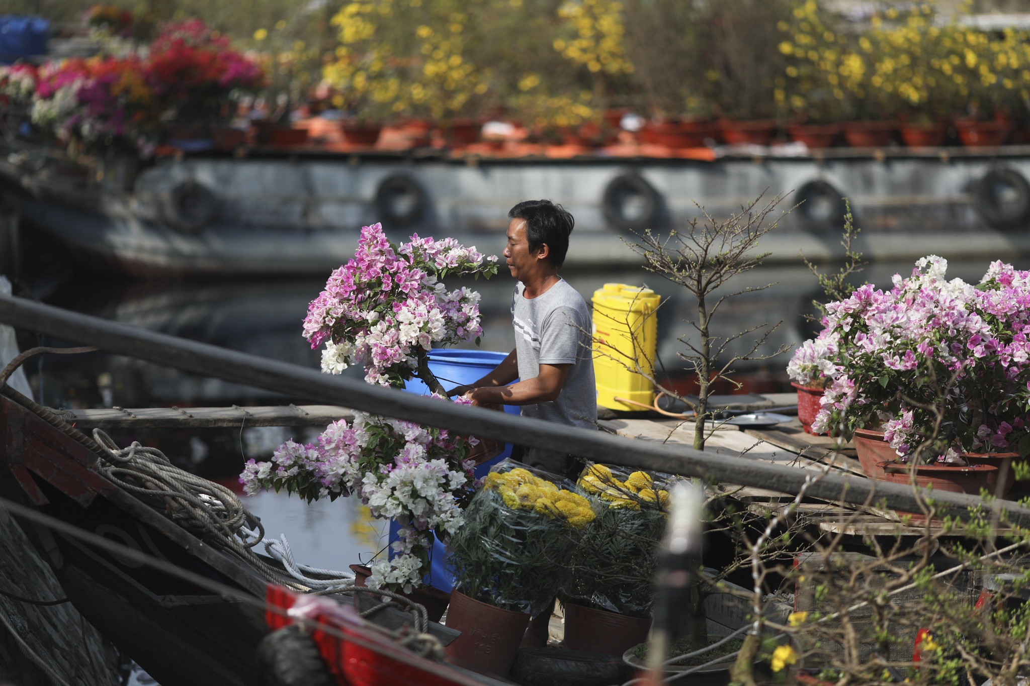 Cho hoa ben binh dong anh 9