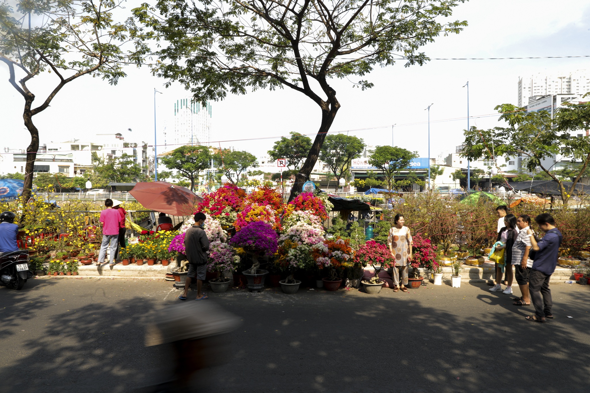 Cho hoa ben binh dong anh 3