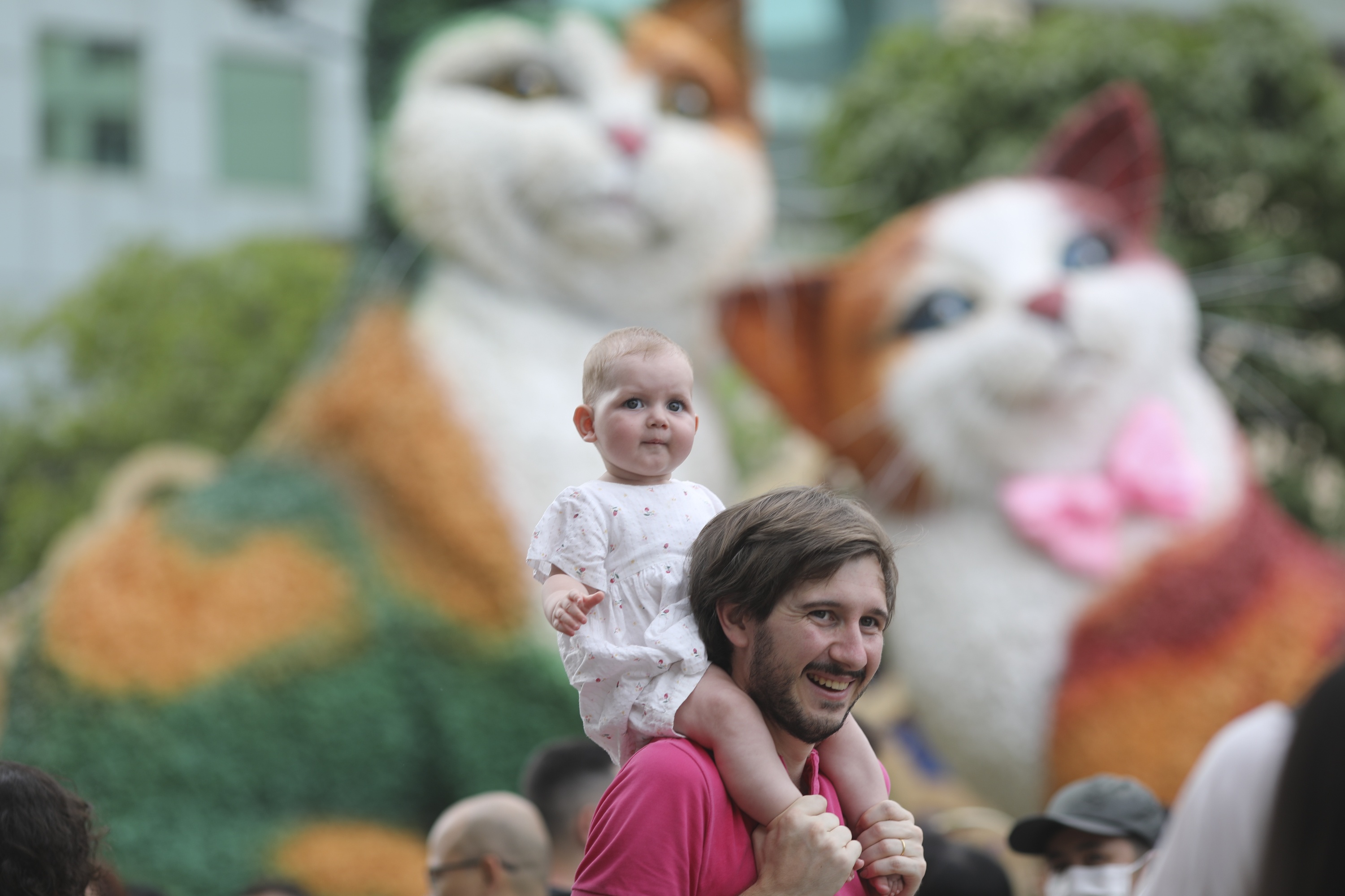 Duong hoa Nguyen Hue anh 5