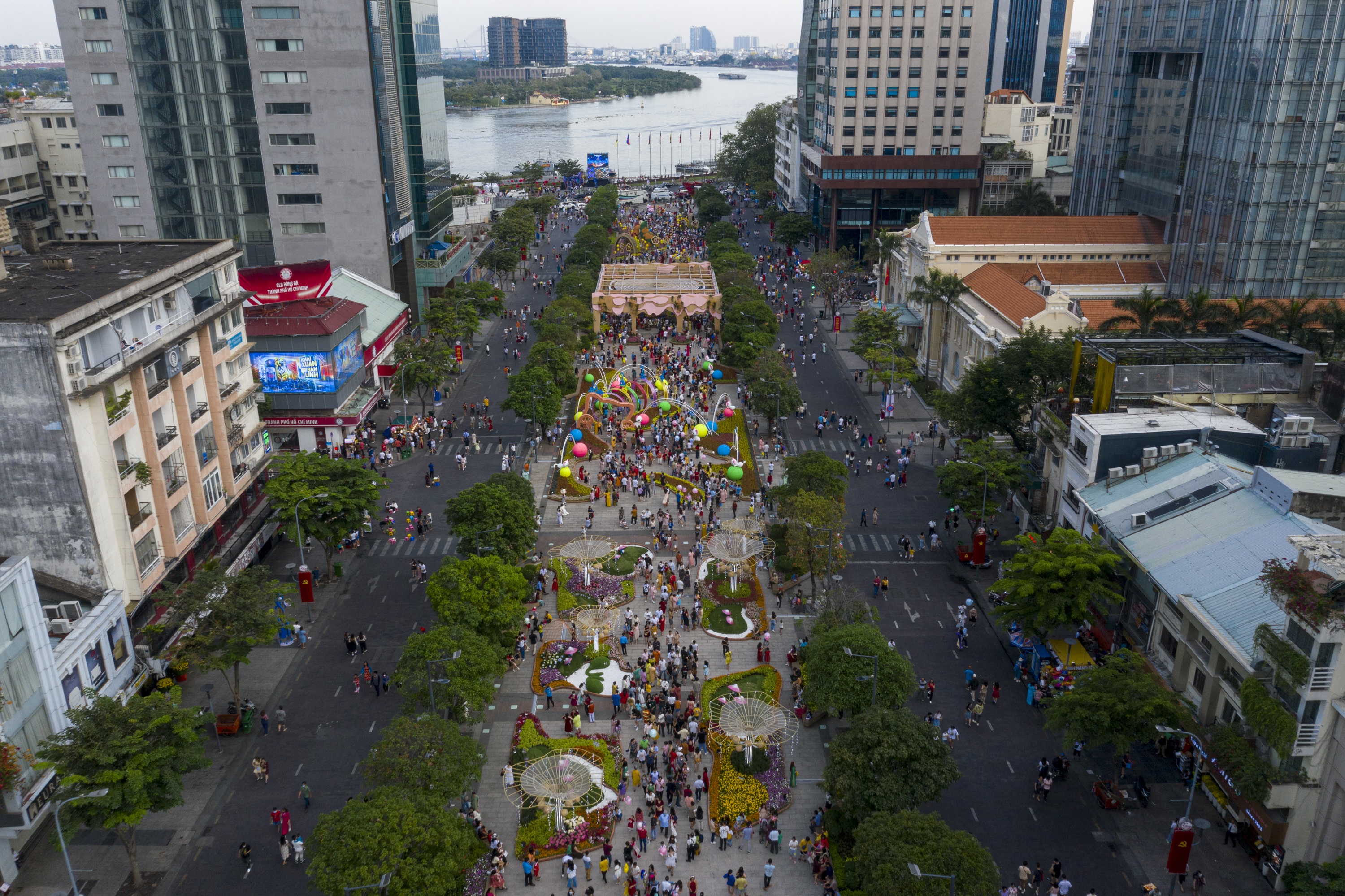 Duong hoa Nguyen Hue anh 11