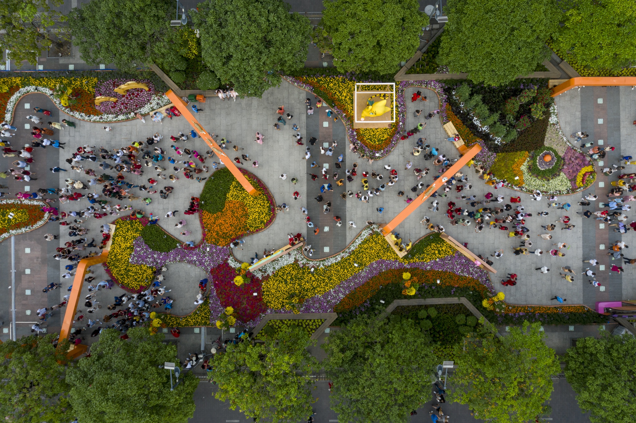 Duong hoa Nguyen Hue anh 6