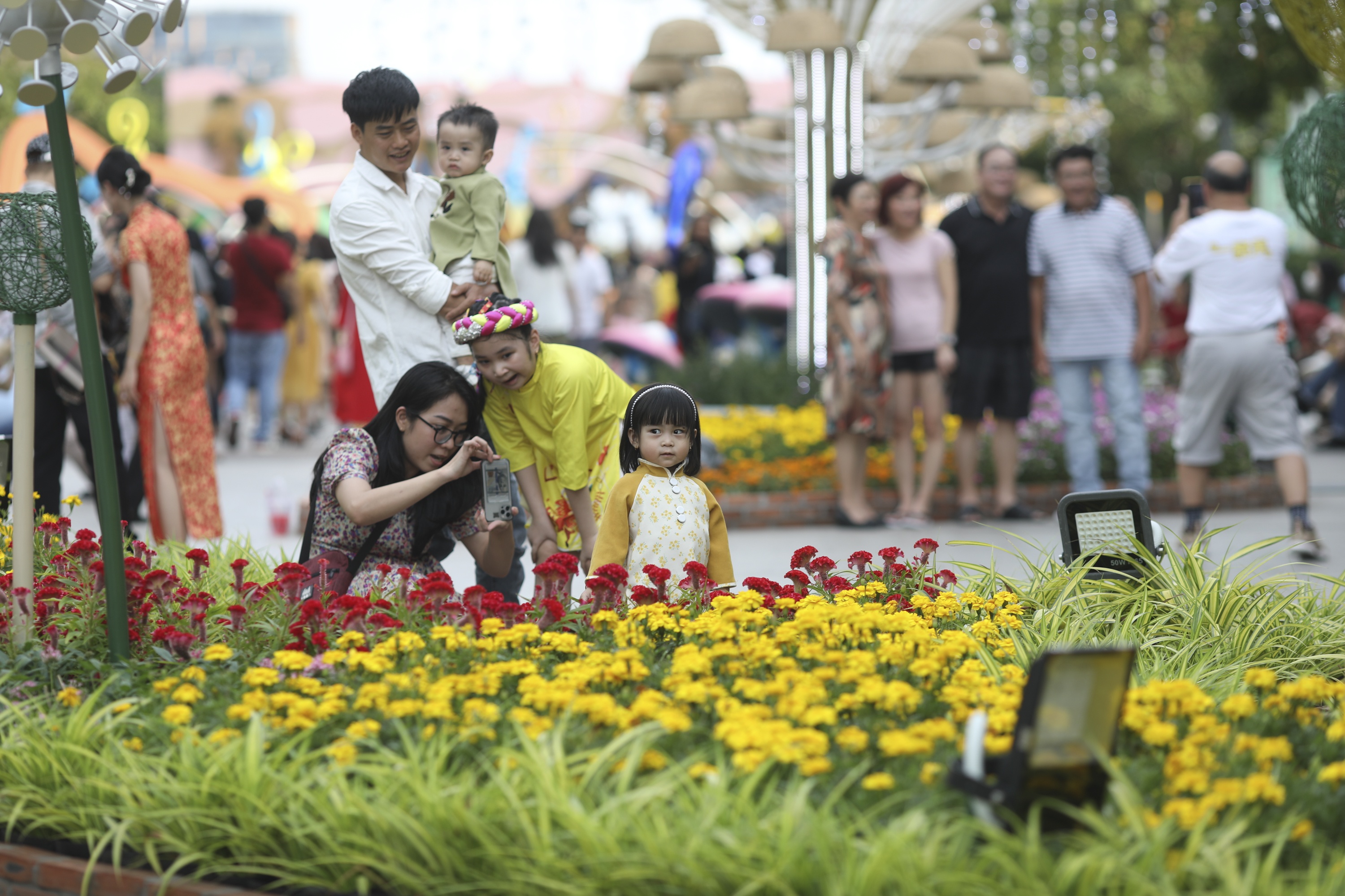 Duong hoa Nguyen Hue anh 4