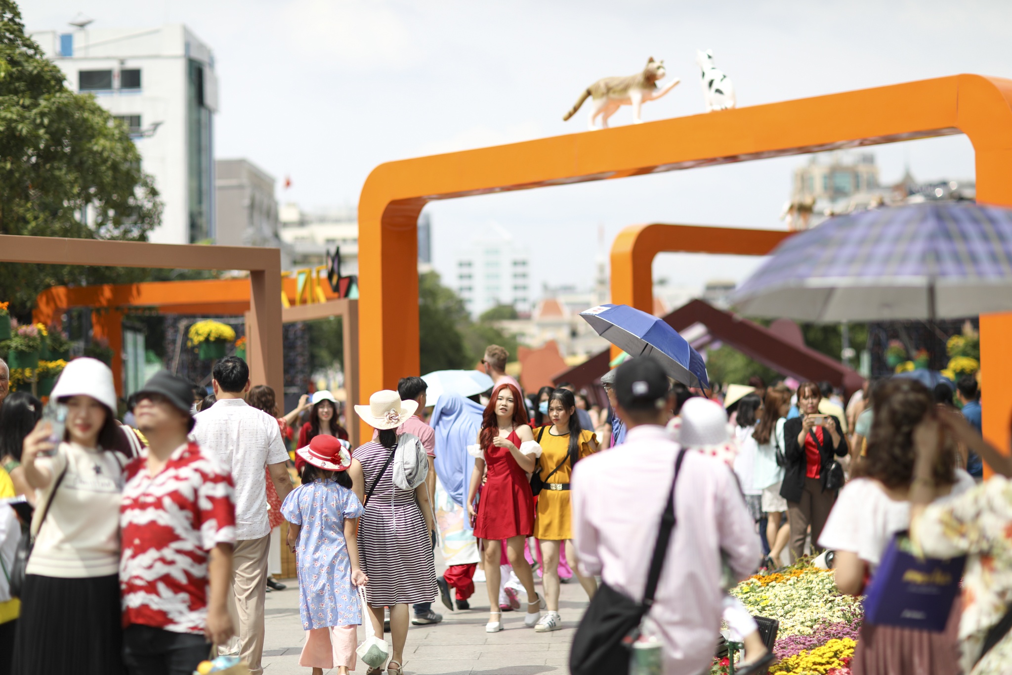 doi nang du xuan anh 1