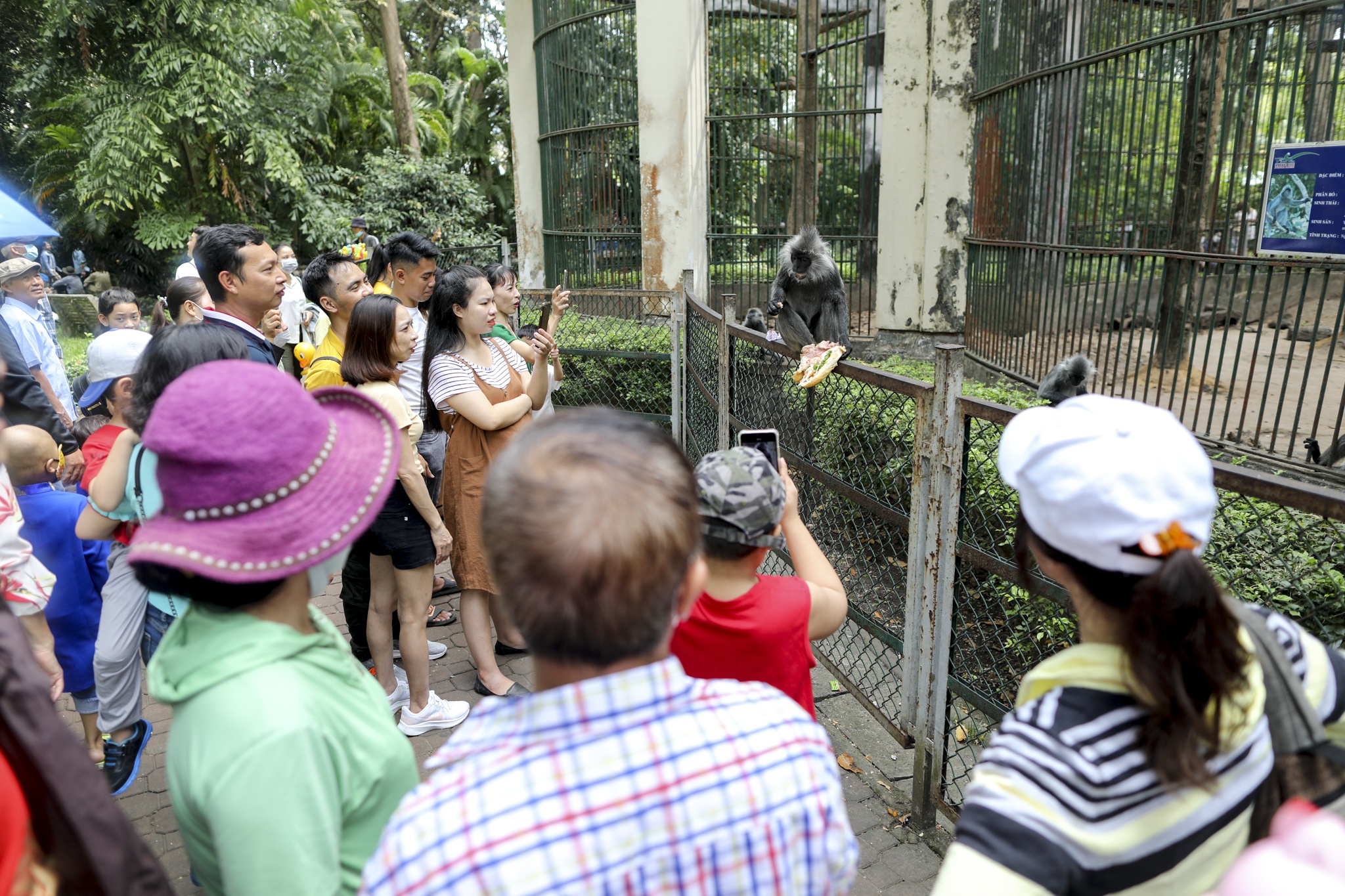 doi nang du xuan anh 8