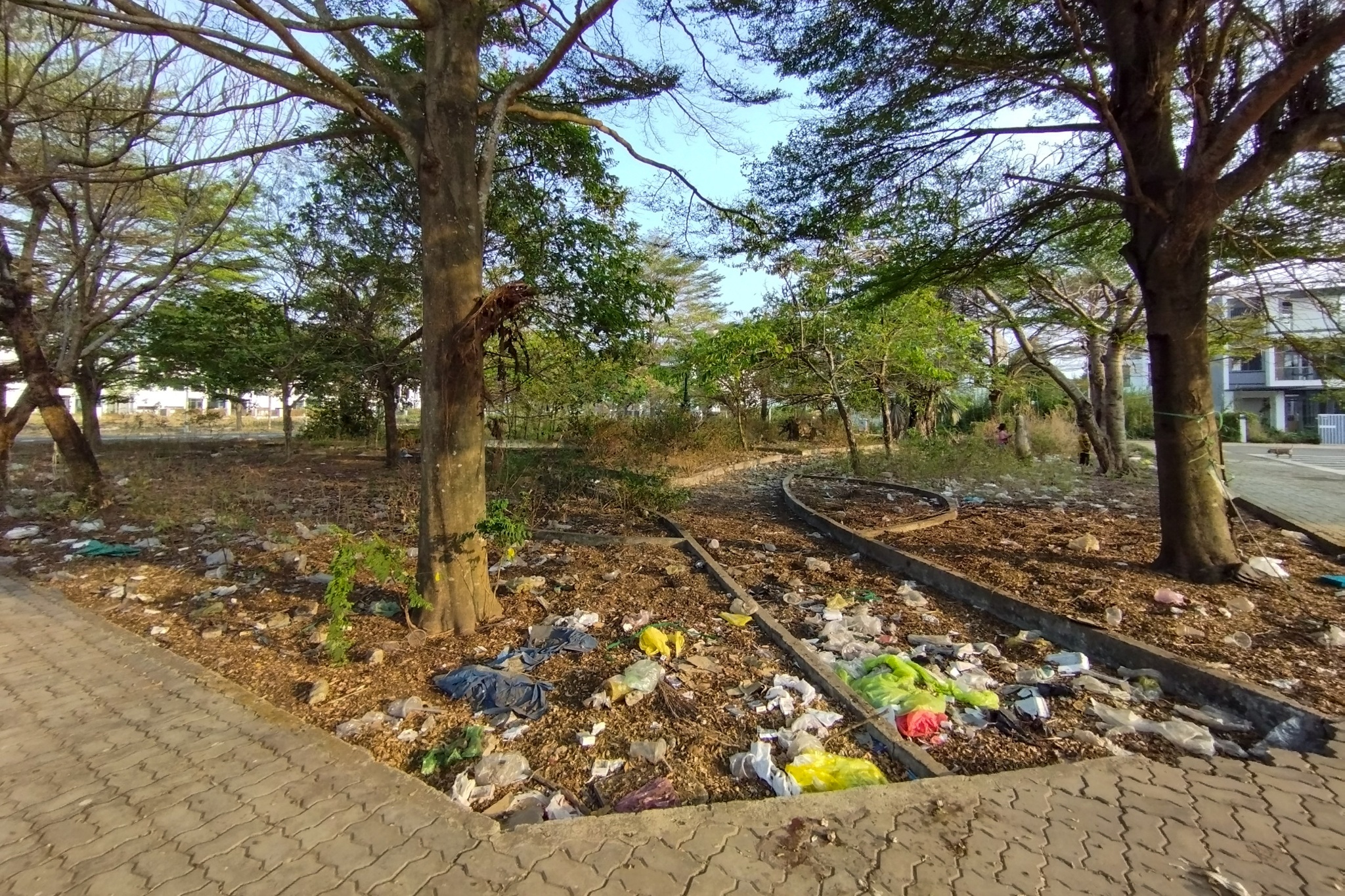 khu dong tang long anh 8