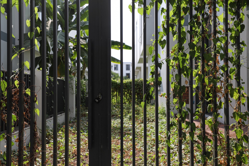 khu dong tang long anh 5