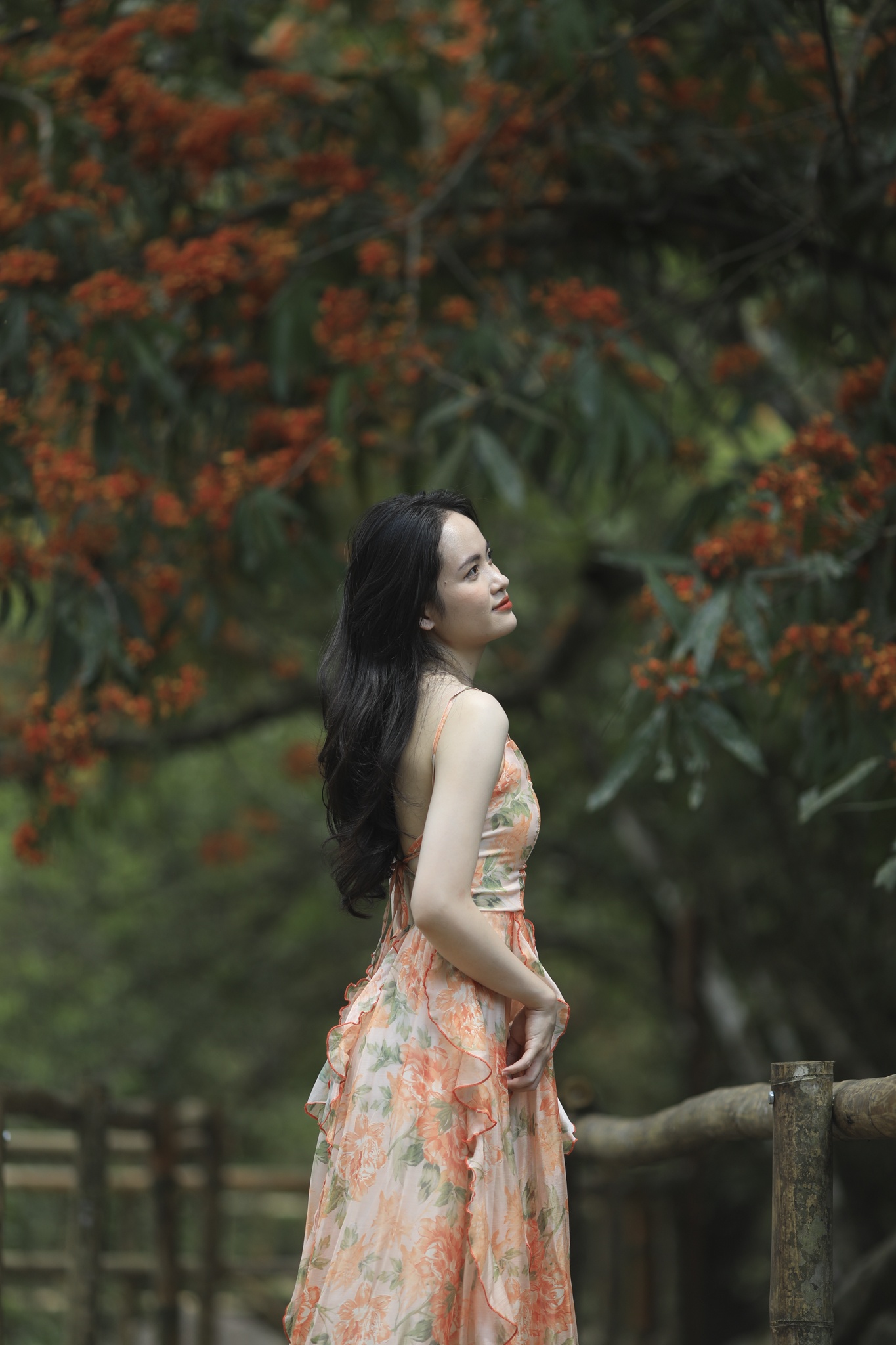 hoa vang anh no ro anh 20