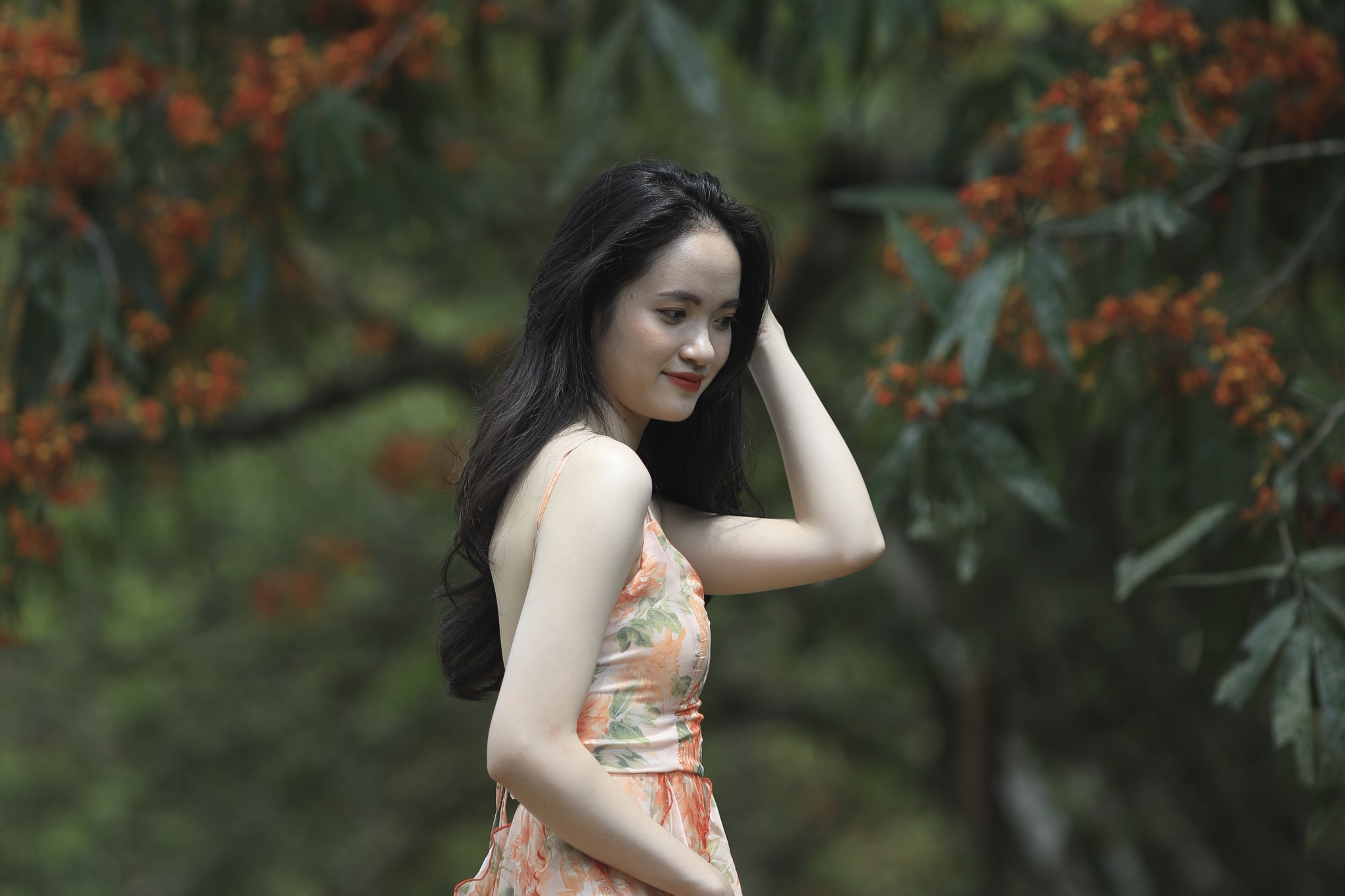 hoa vang anh no ro anh 14