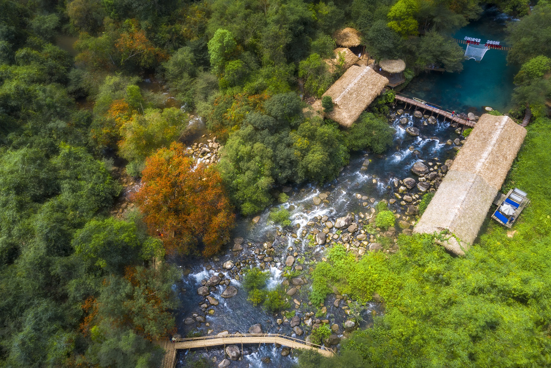 hoa vang anh no ro anh 9