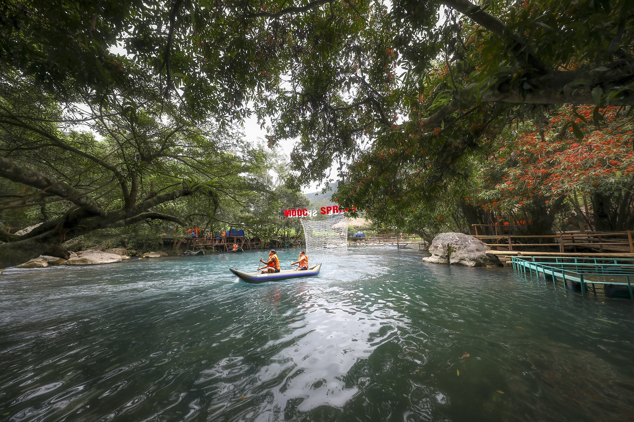 hoa vang anh no ro anh 4