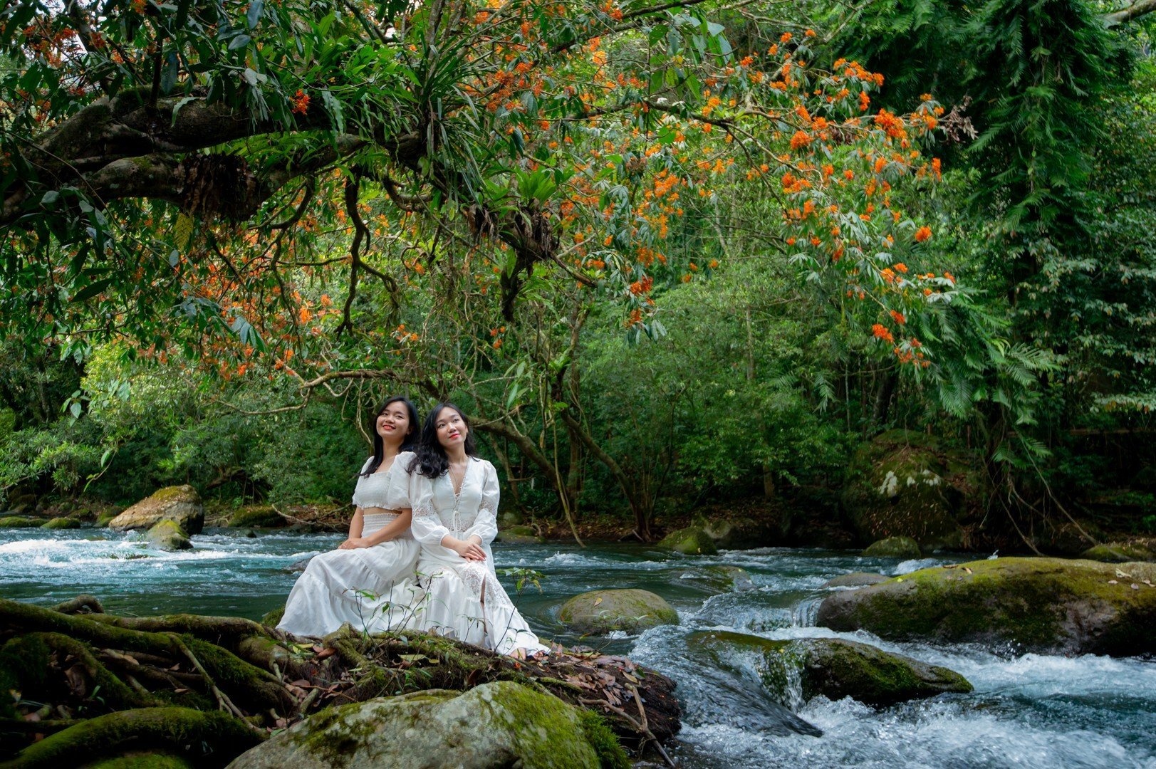 hoa vang anh no ro anh 16