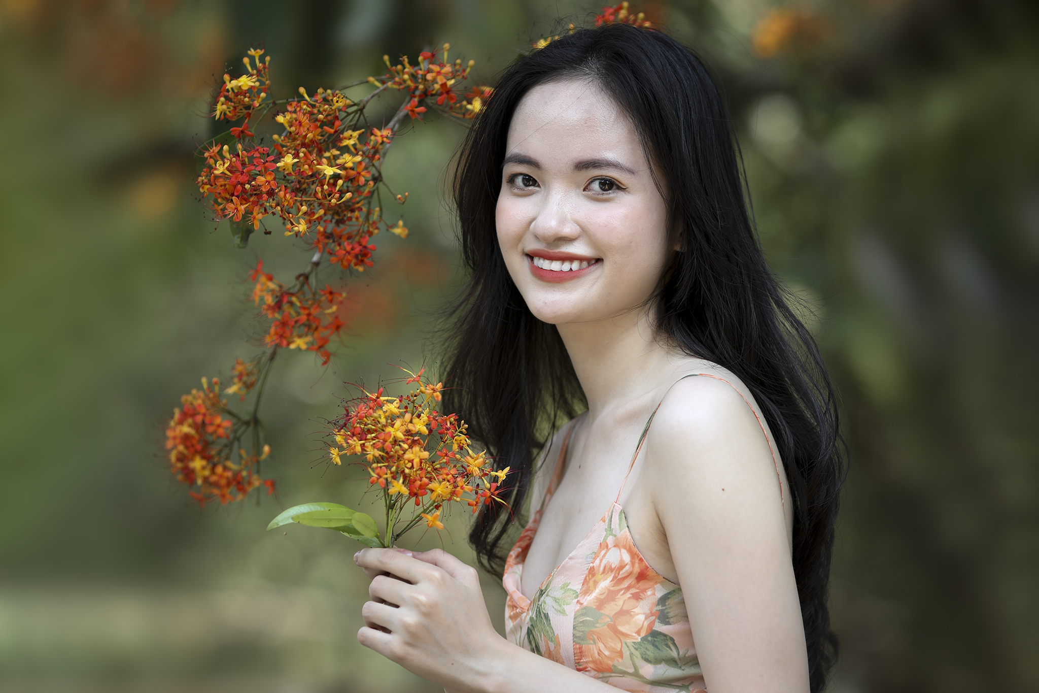 Hoa vang anh khoe sac o vuon quoc gia Phong Nha - Ke Bang hinh anh