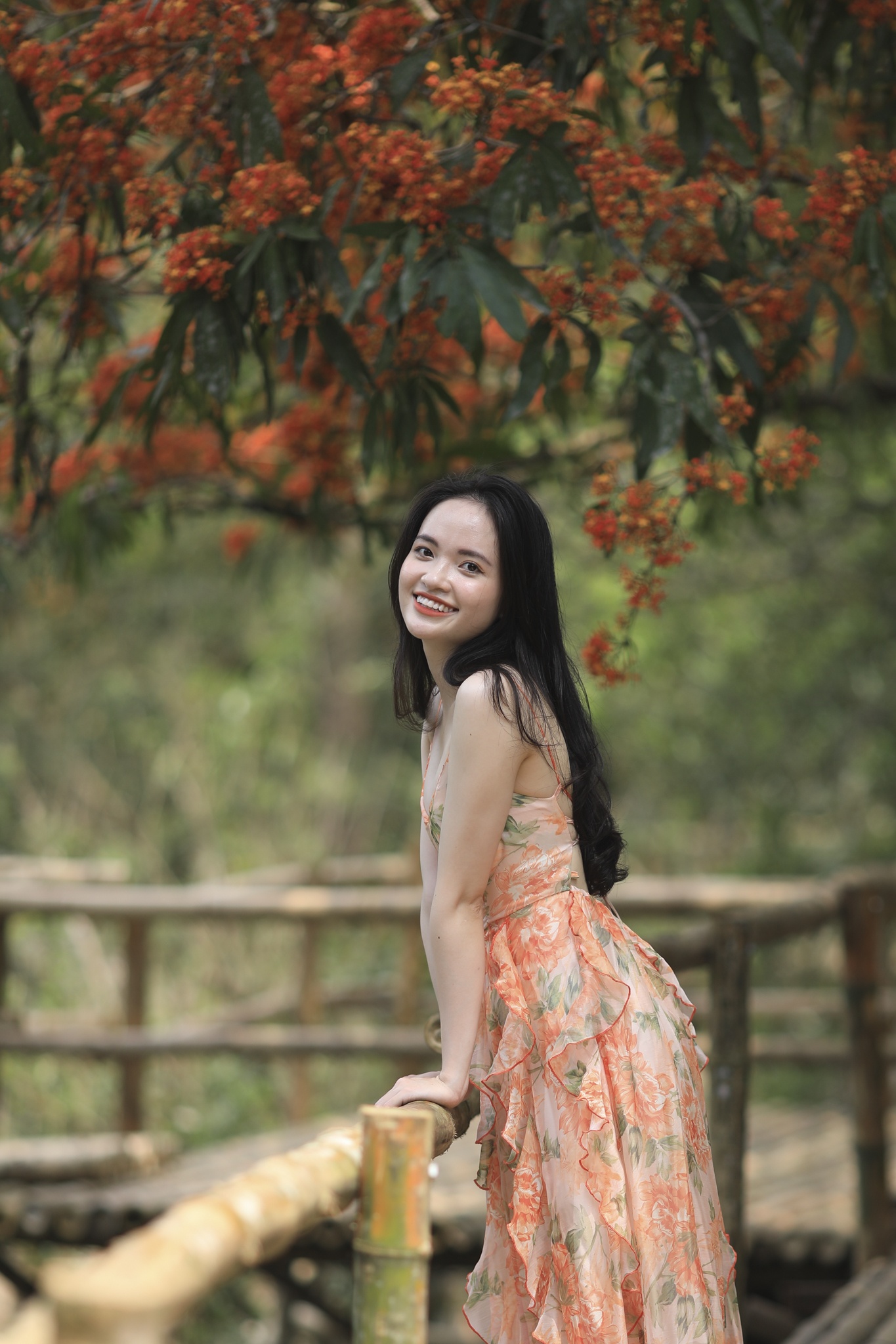 hoa vang anh no ro anh 19