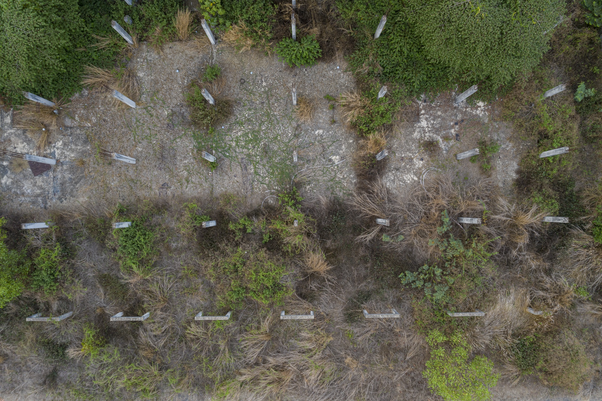 680 biet thu trai phep anh 6