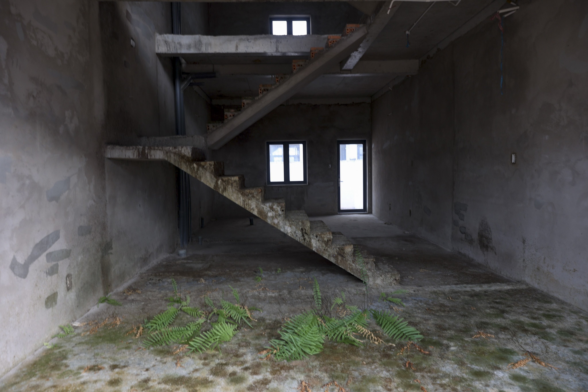 680 biet thu trai phep anh 12