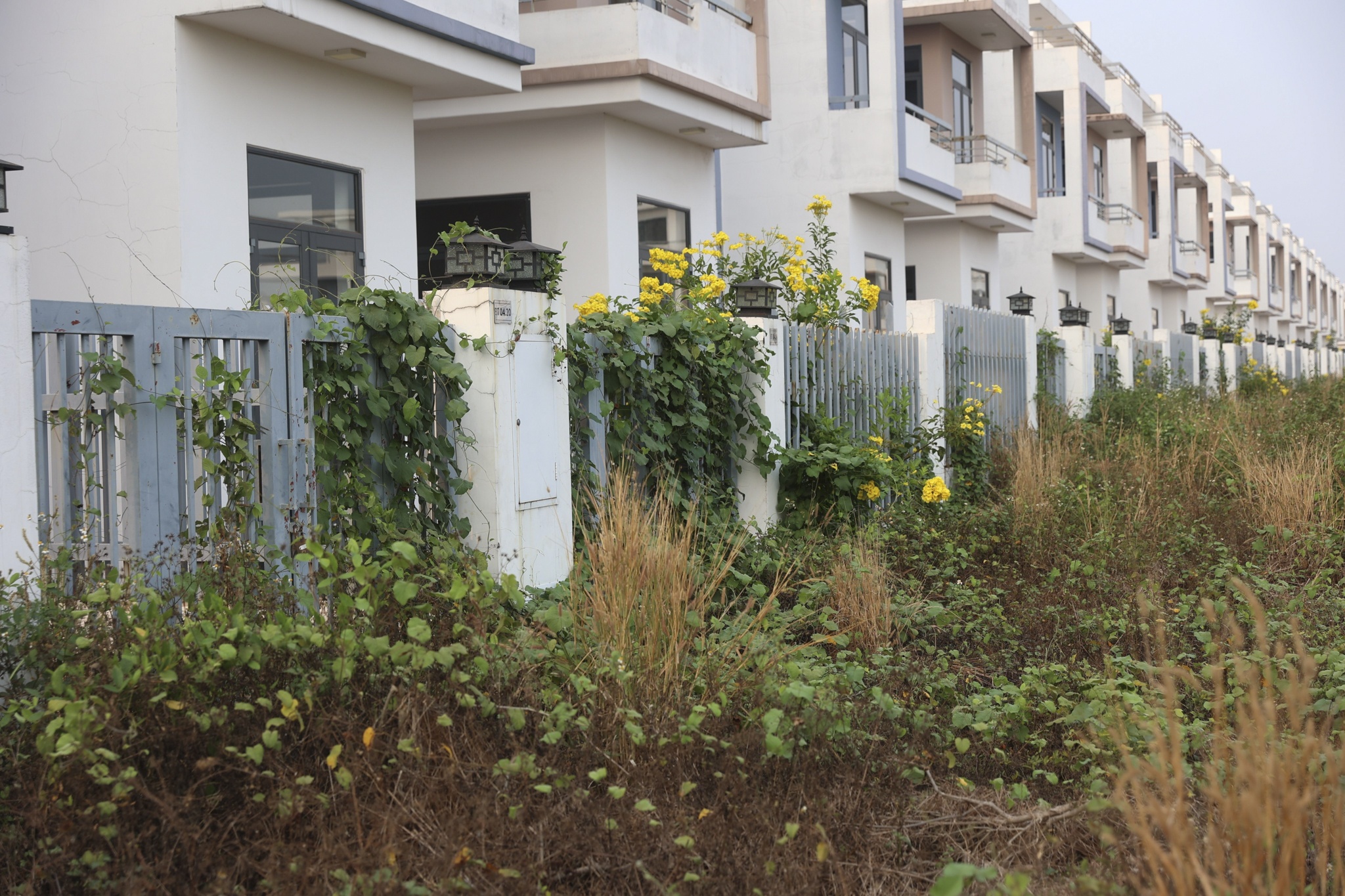 680 biet thu trai phep anh 11